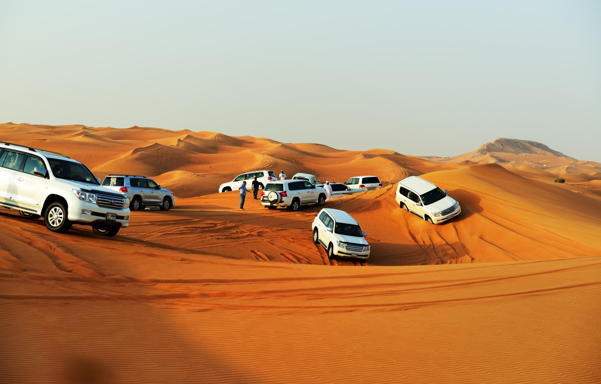 Liwa Desert Safari Tour - სურათი 3