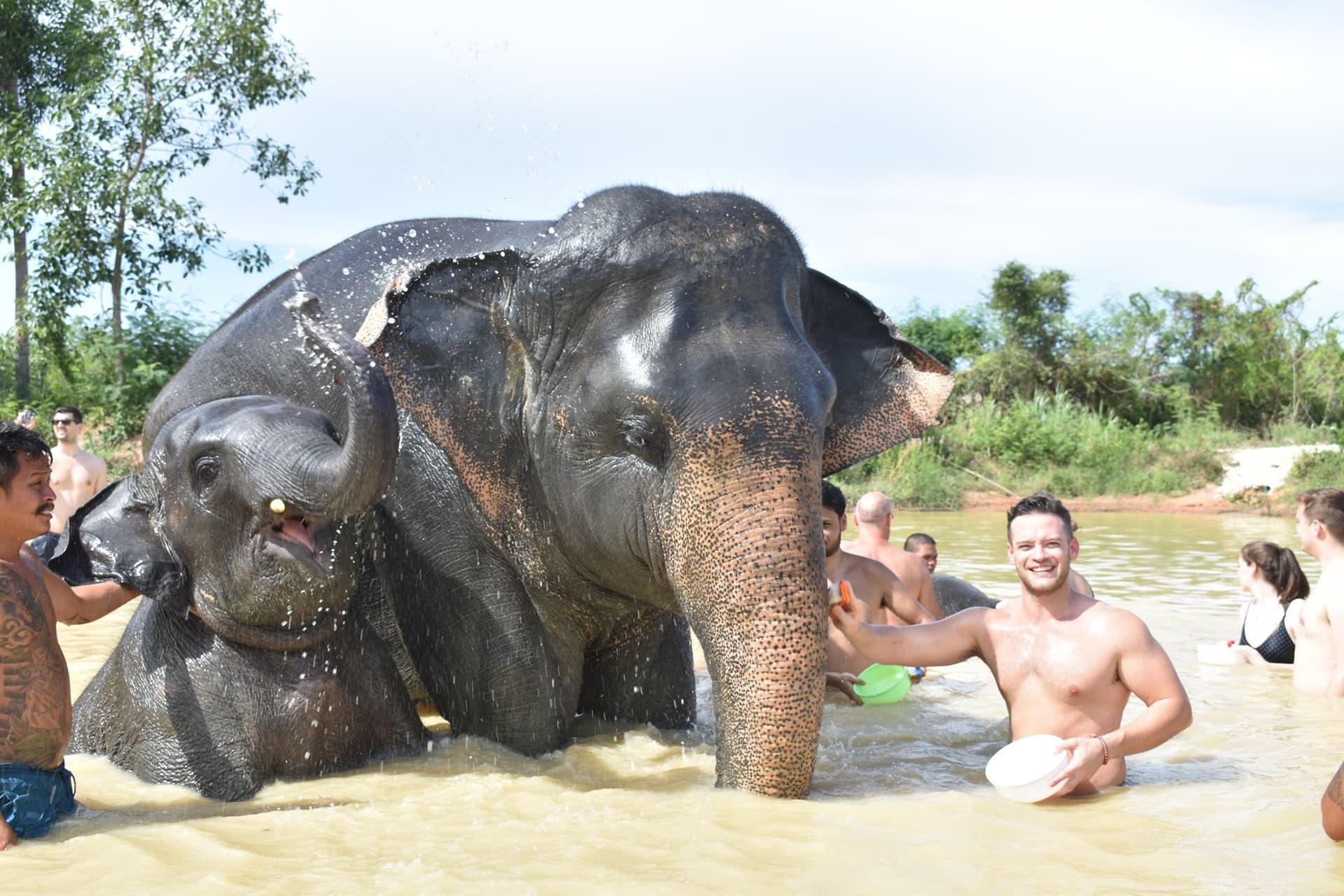 Elephant Jungle Sanctuary Pattaya - სურათი 7