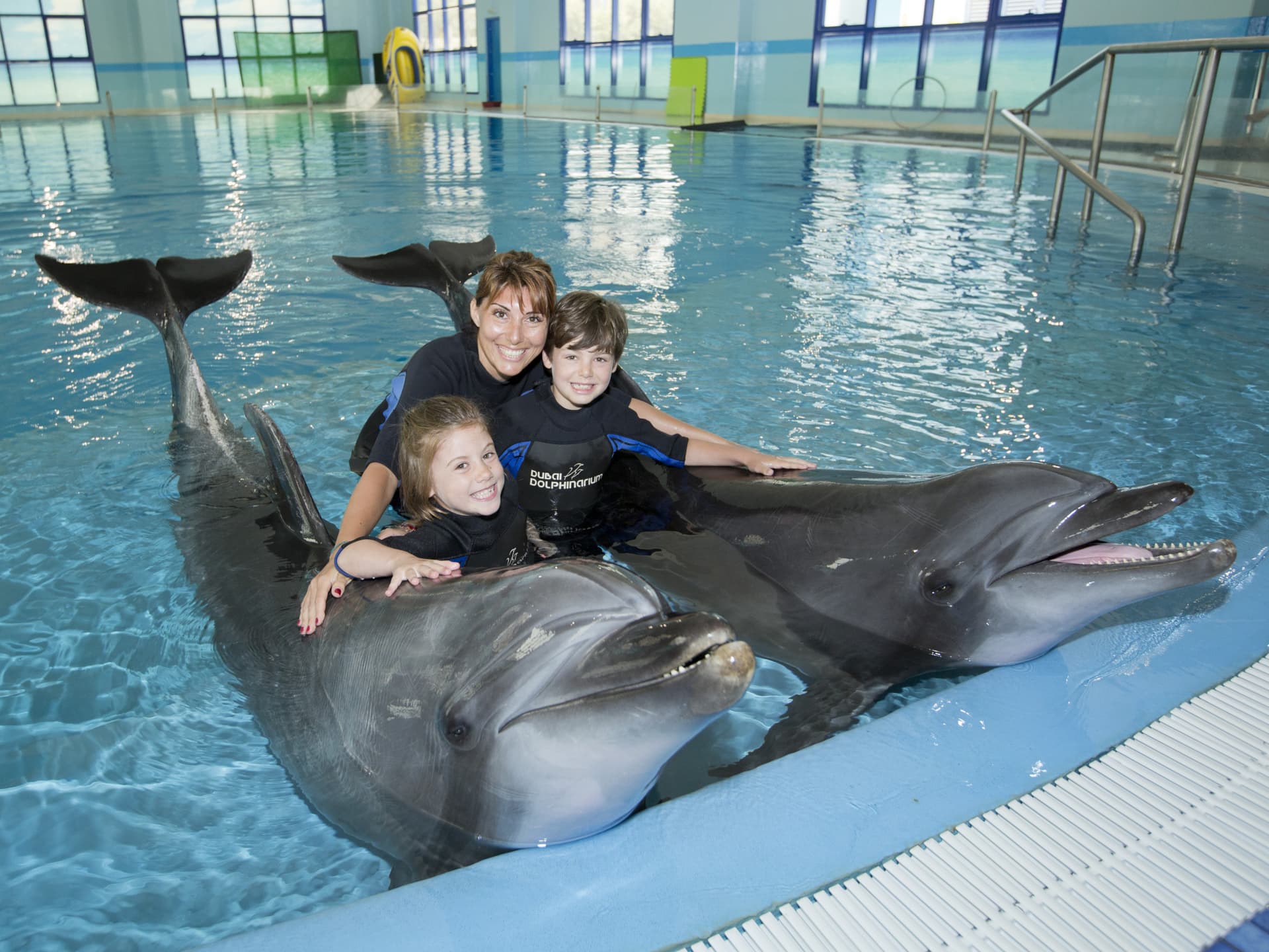 Dubai Dolphinarium Ticket - სურათი 12