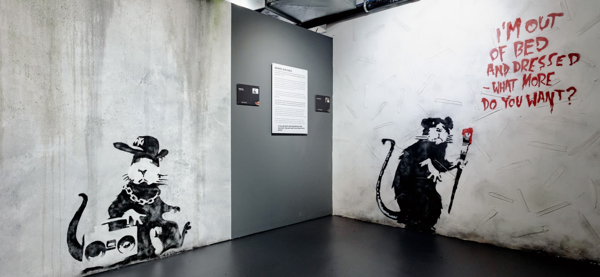 Banksy Museum New York Ticket - სურათი 9