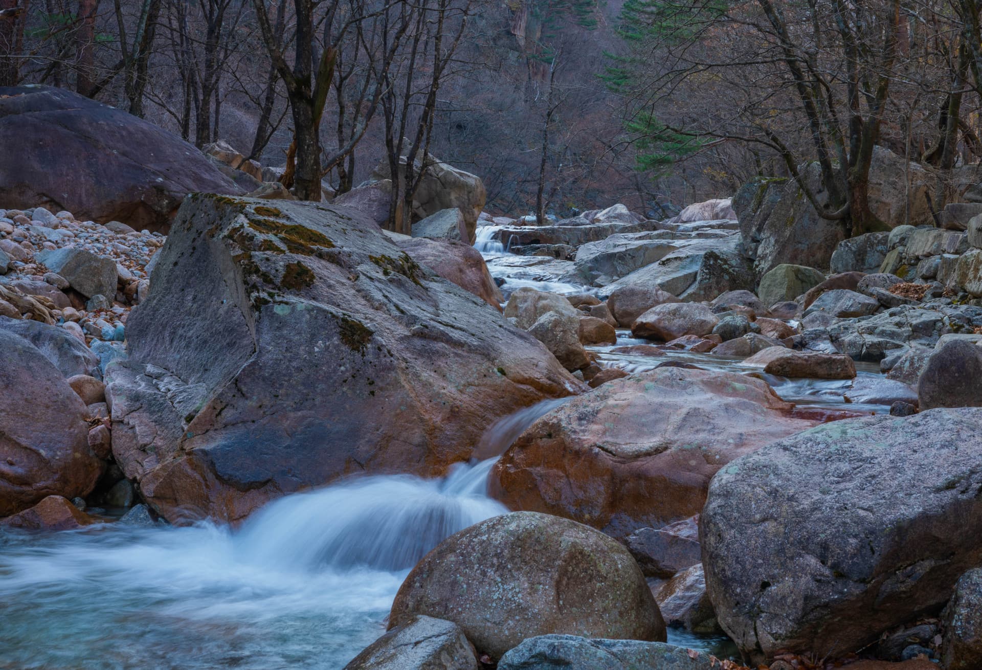 Mount Seorak and Naksansa Temple Tour from Seoul - სურათი 11
