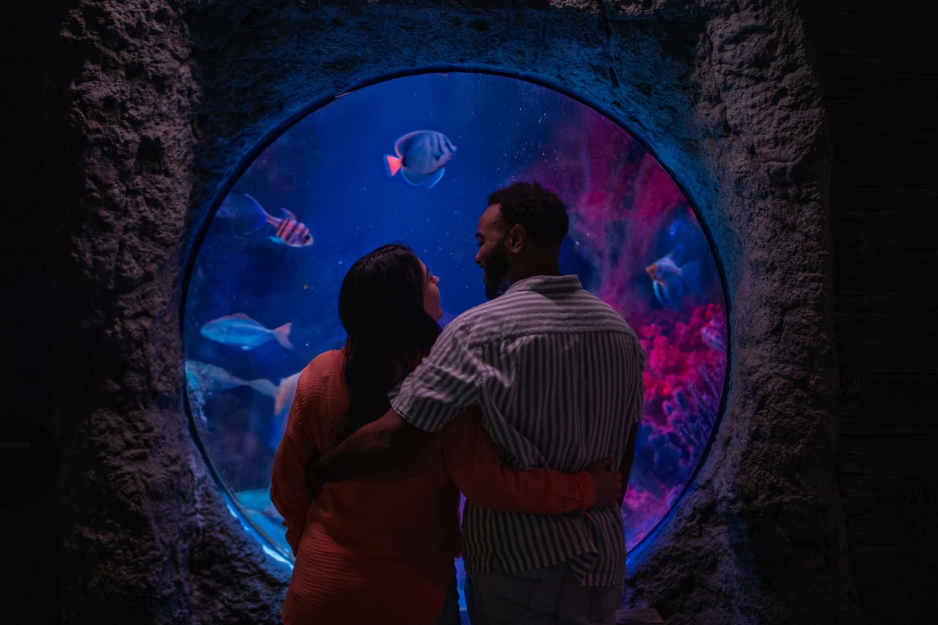 SEA LIFE Orlando Aquarium Ticket - სურათი 9
