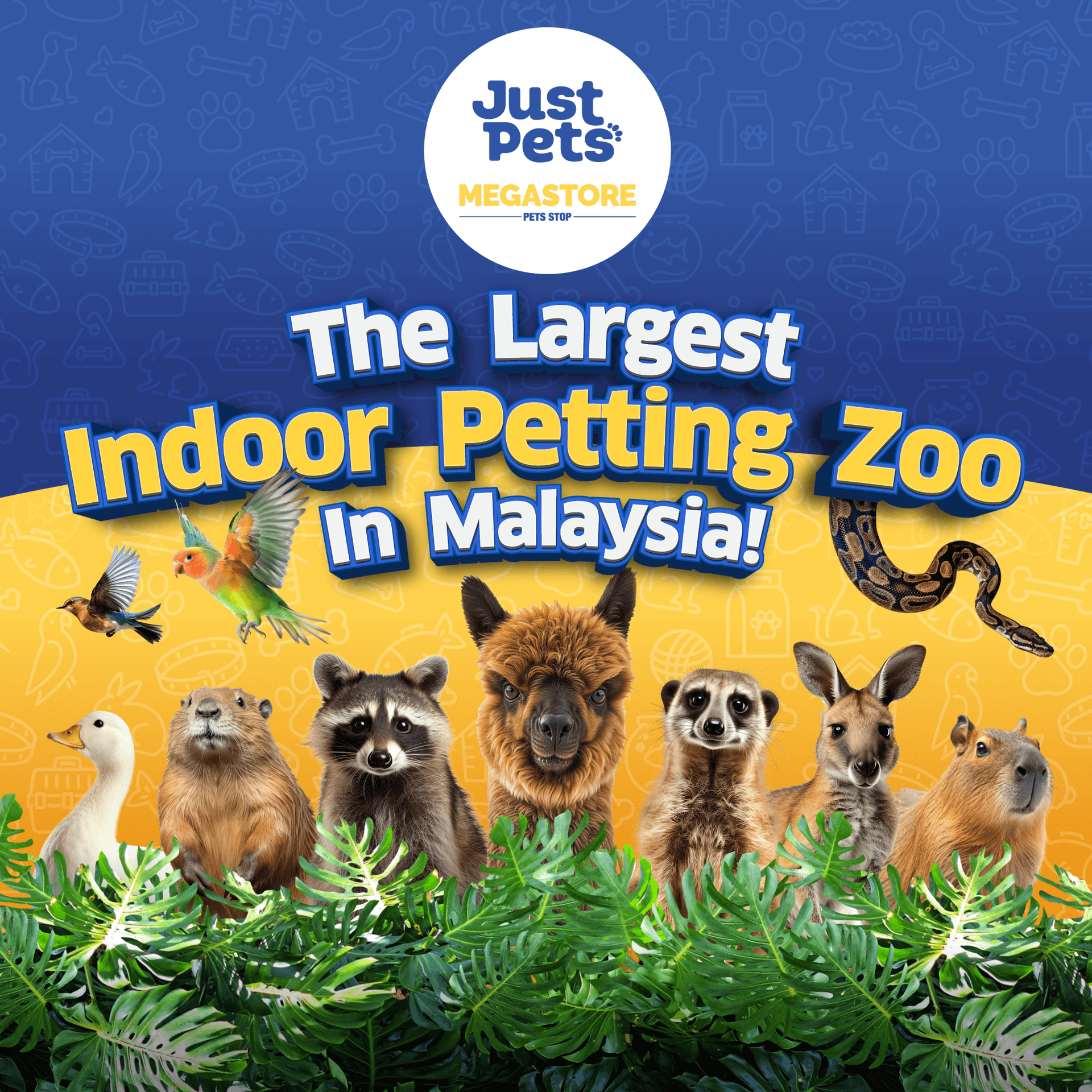 Just Farm Indoor Zoo Kuala Lumpur  (Previously Known As Just Pets Megastore) - მთავარი სურათი