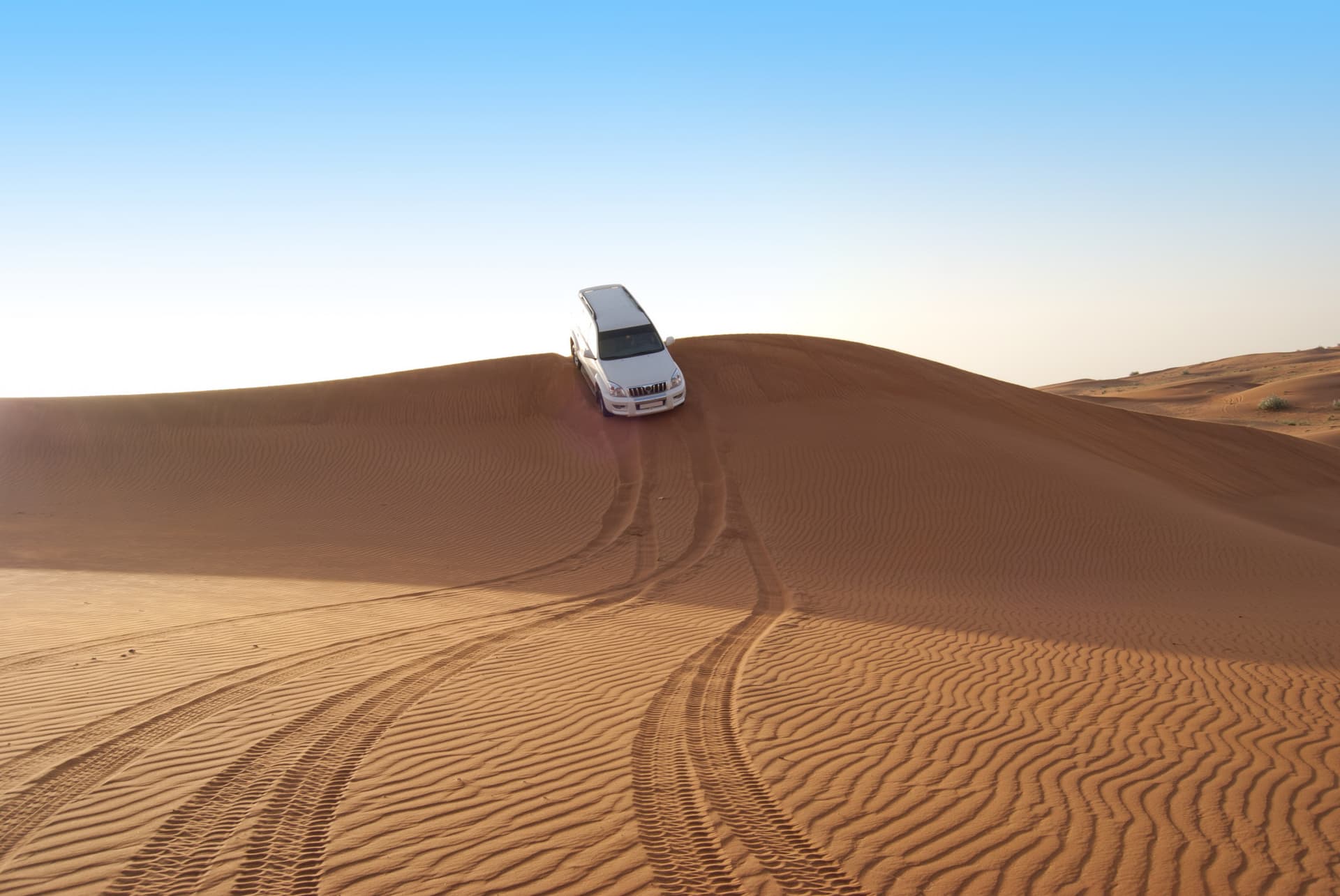 Liwa Desert Safari Tour - სურათი 7
