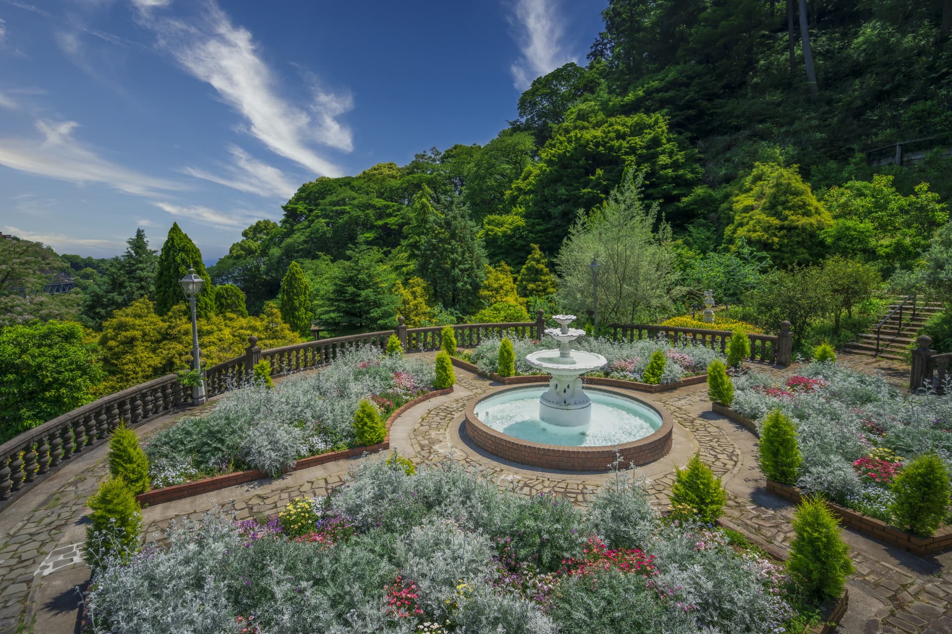Acao Forest in Shizuoka - მთავარი სურათი