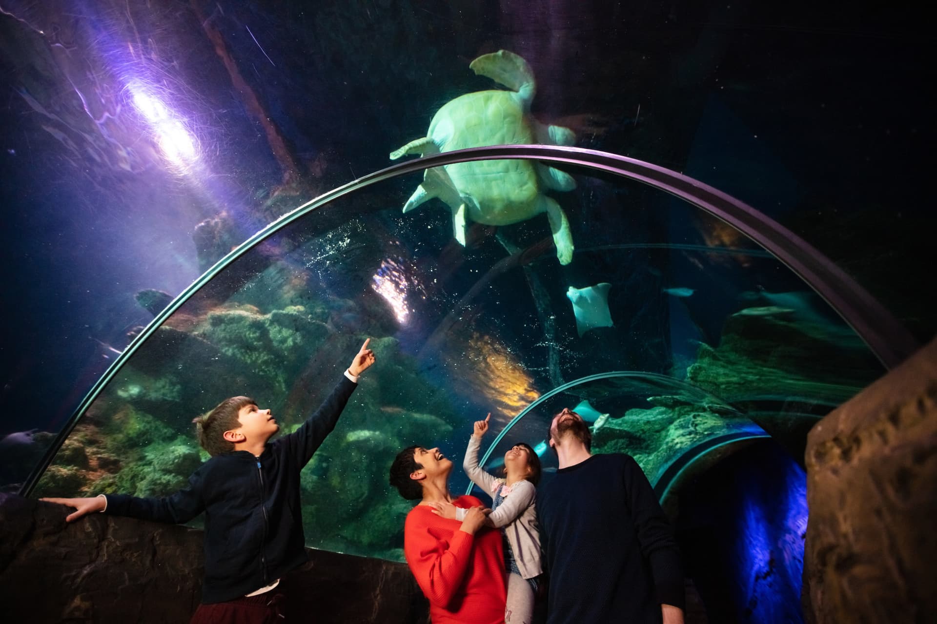 COMBO: Madame Tussauds London + SEA LIFE London Aquarium Ticket - სურათი 8