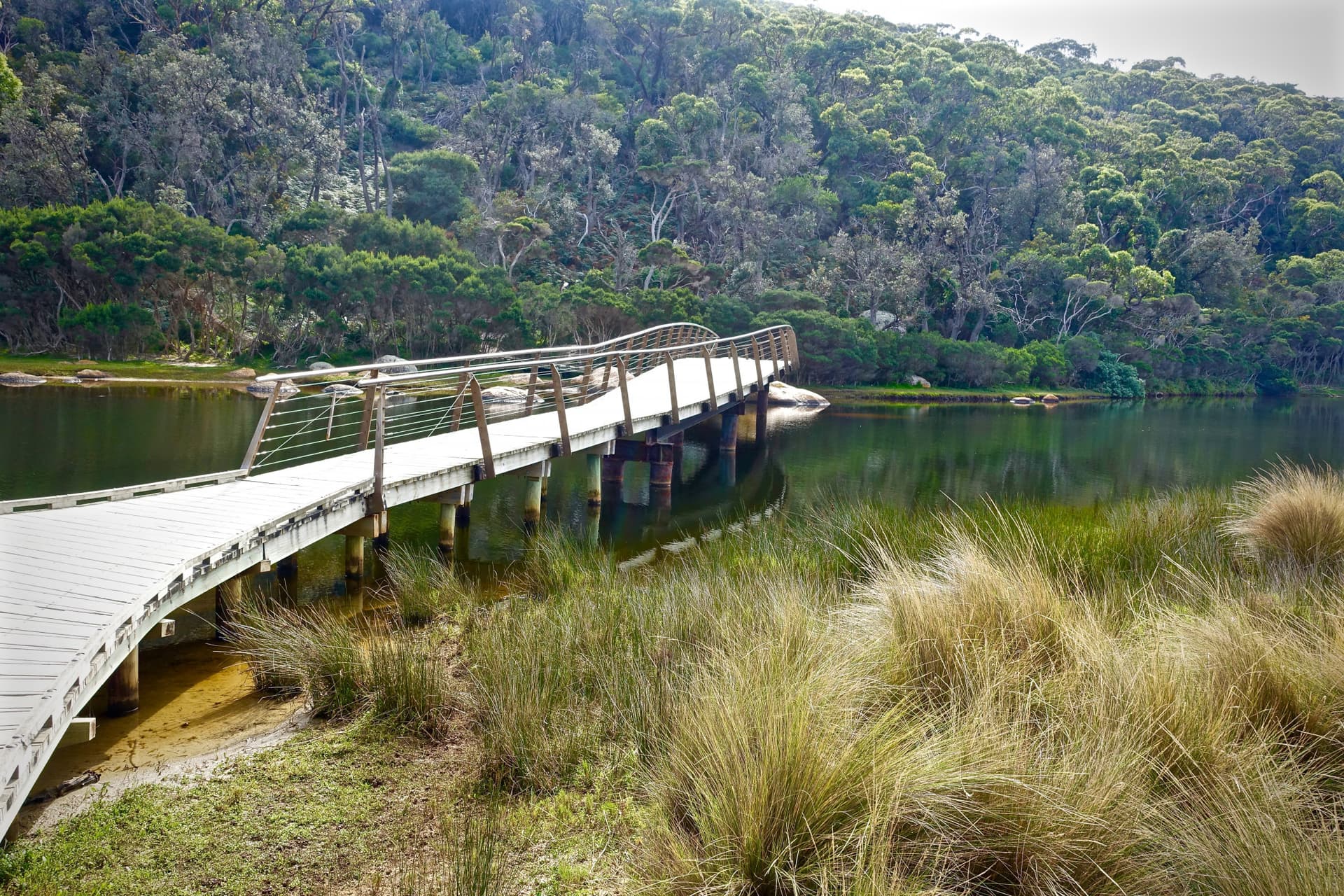 Wilsons Promontory National Park Tour from Melbourne - სურათი 8