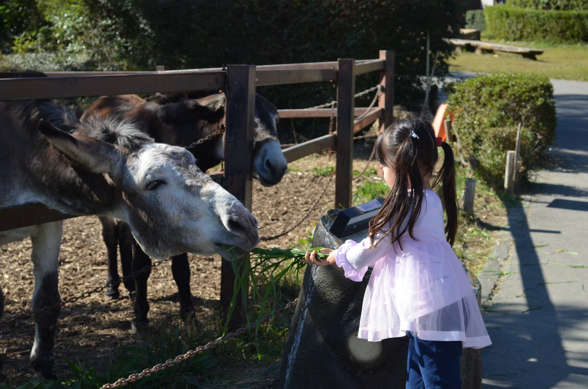 Gunma Safari Park Ticket - სურათი 4