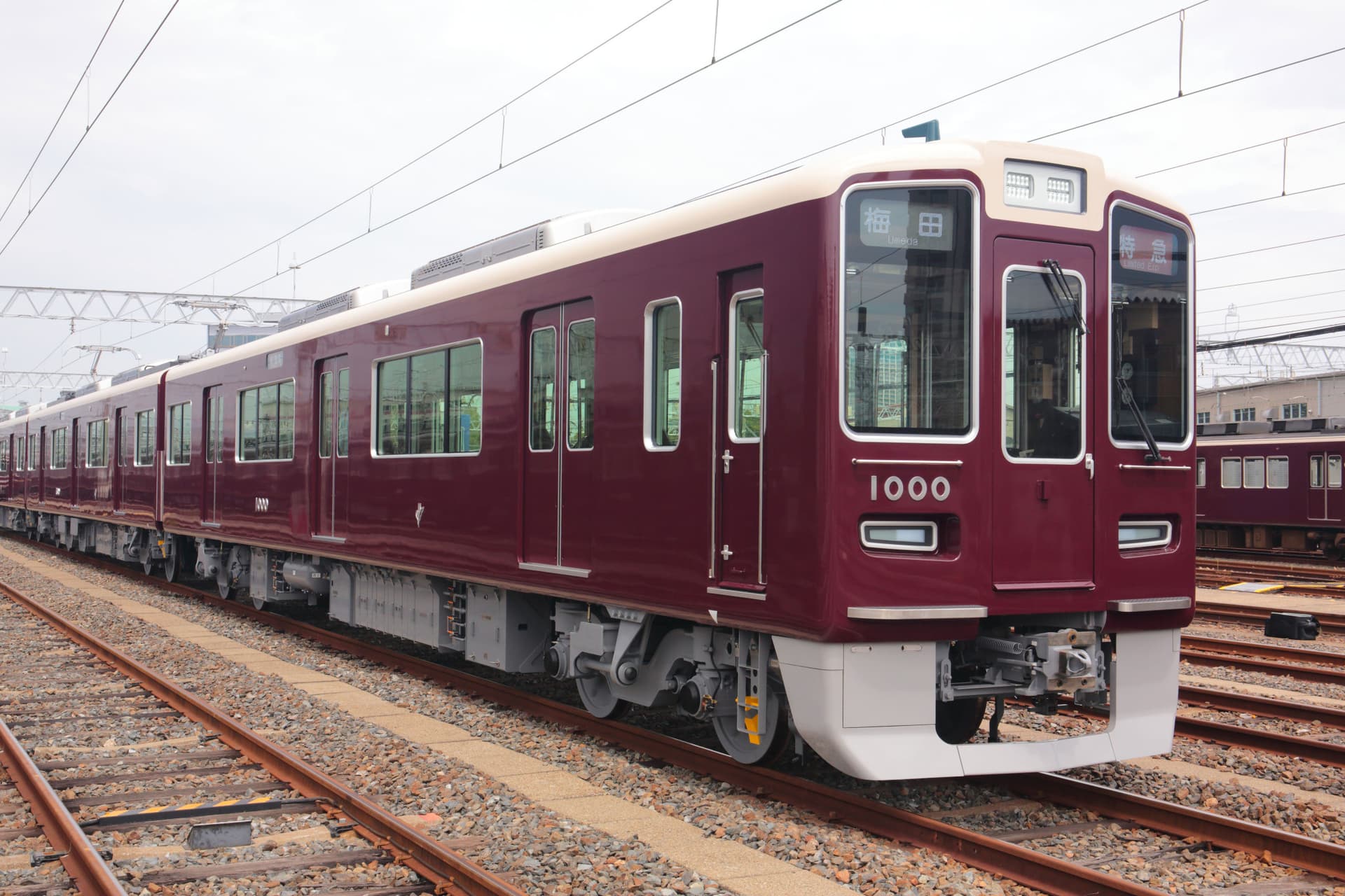 Kansai Railway Pass - სურათი 4