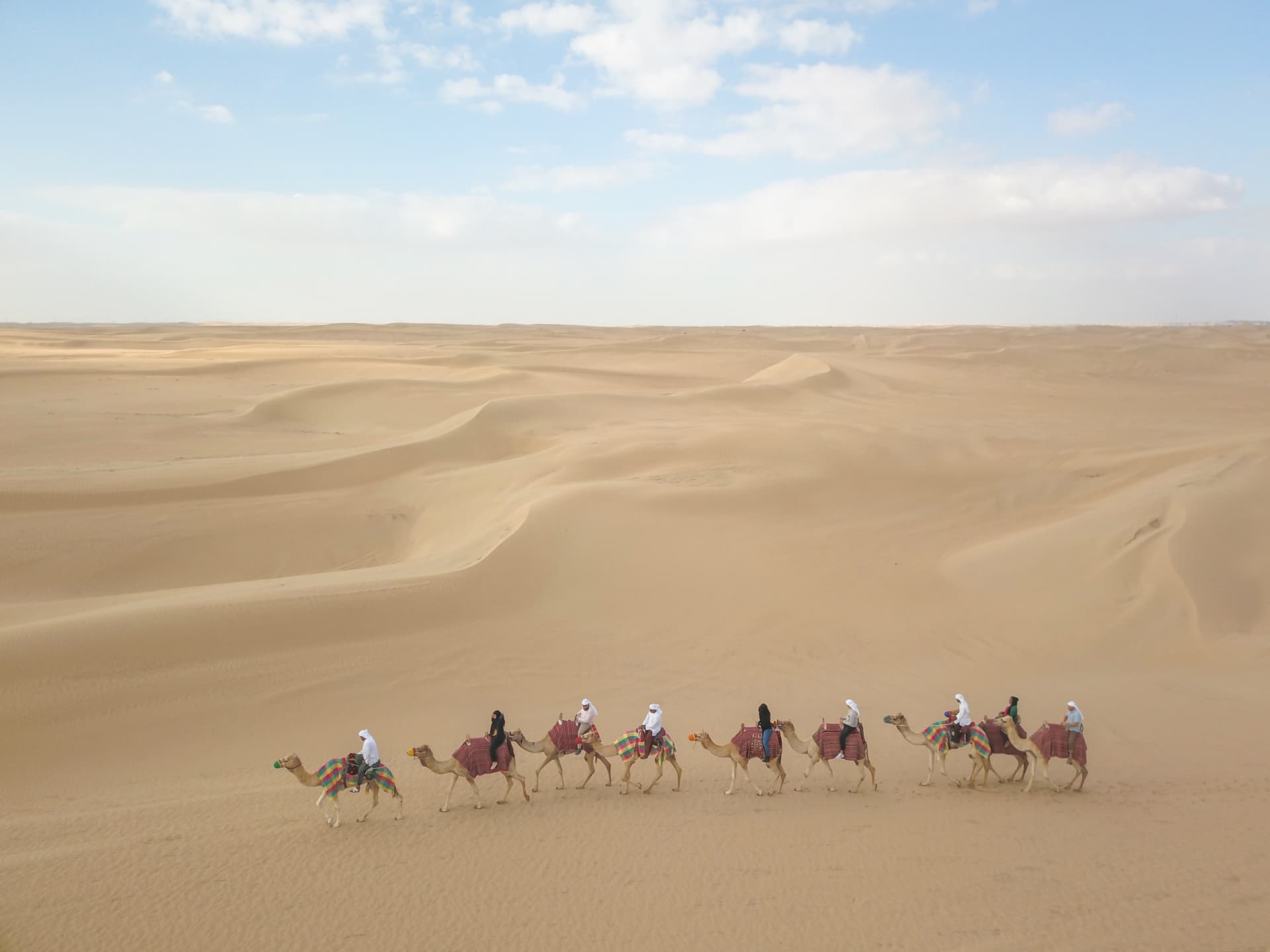 Half-Day Desert Safari, Camel Ride with Refreshments - სურათი 2