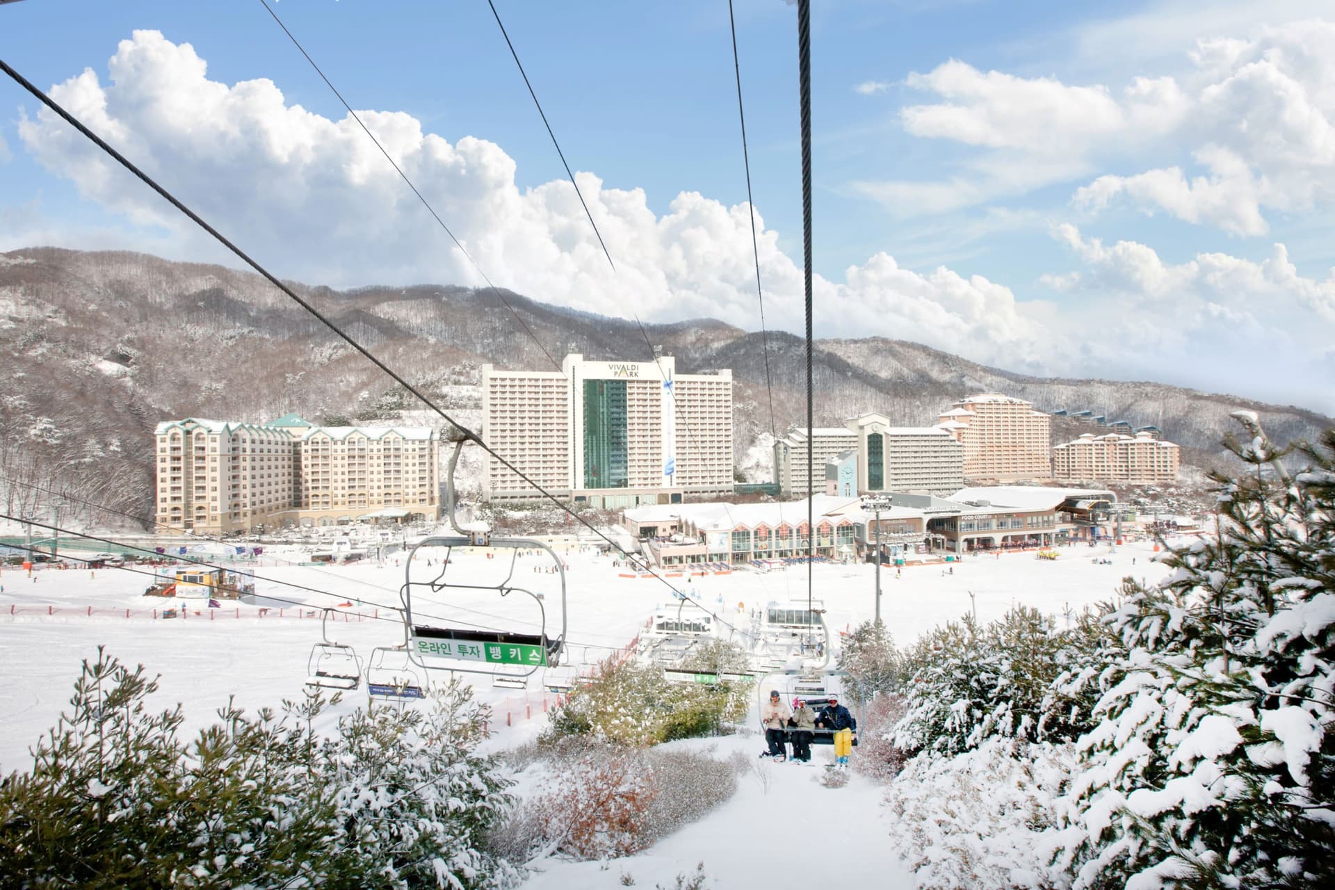 Vivaldi Park Winter Ski and Eobi Ice Valley Day Tour from Seoul - სურათი 2