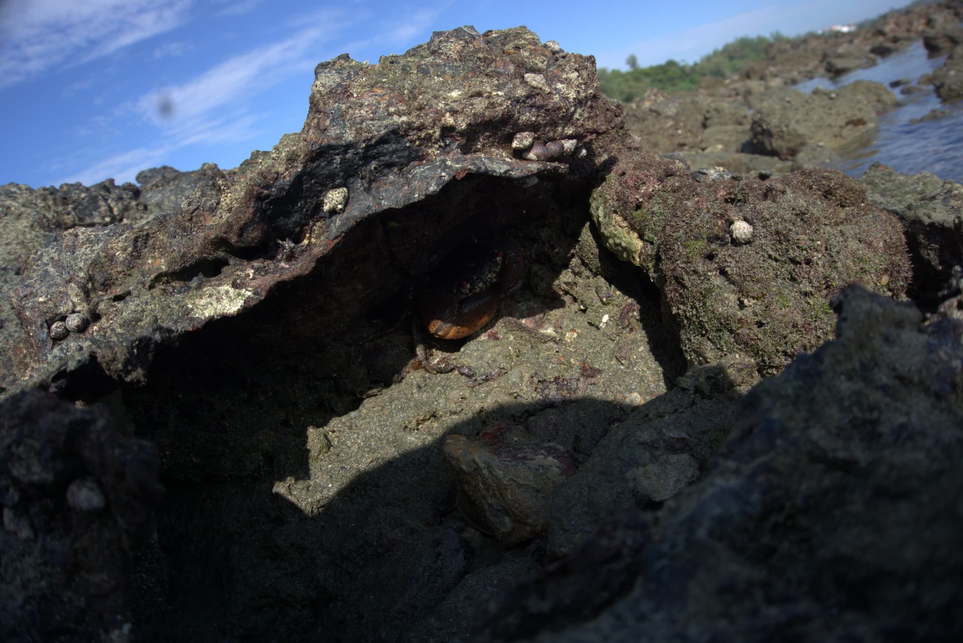 Desaru Beach and Tide Pool Walk - სურათი 38