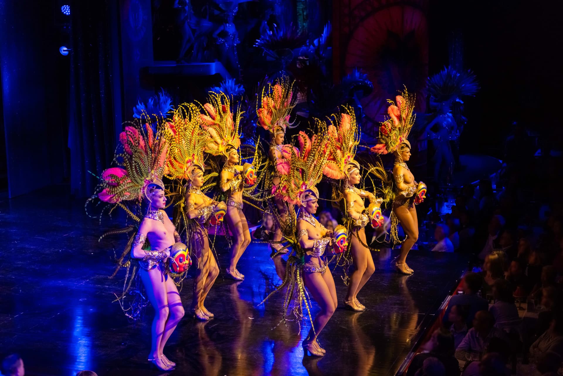 Moulin Rouge Cabaret Show and Paris Bus Tour - მთავარი სურათი