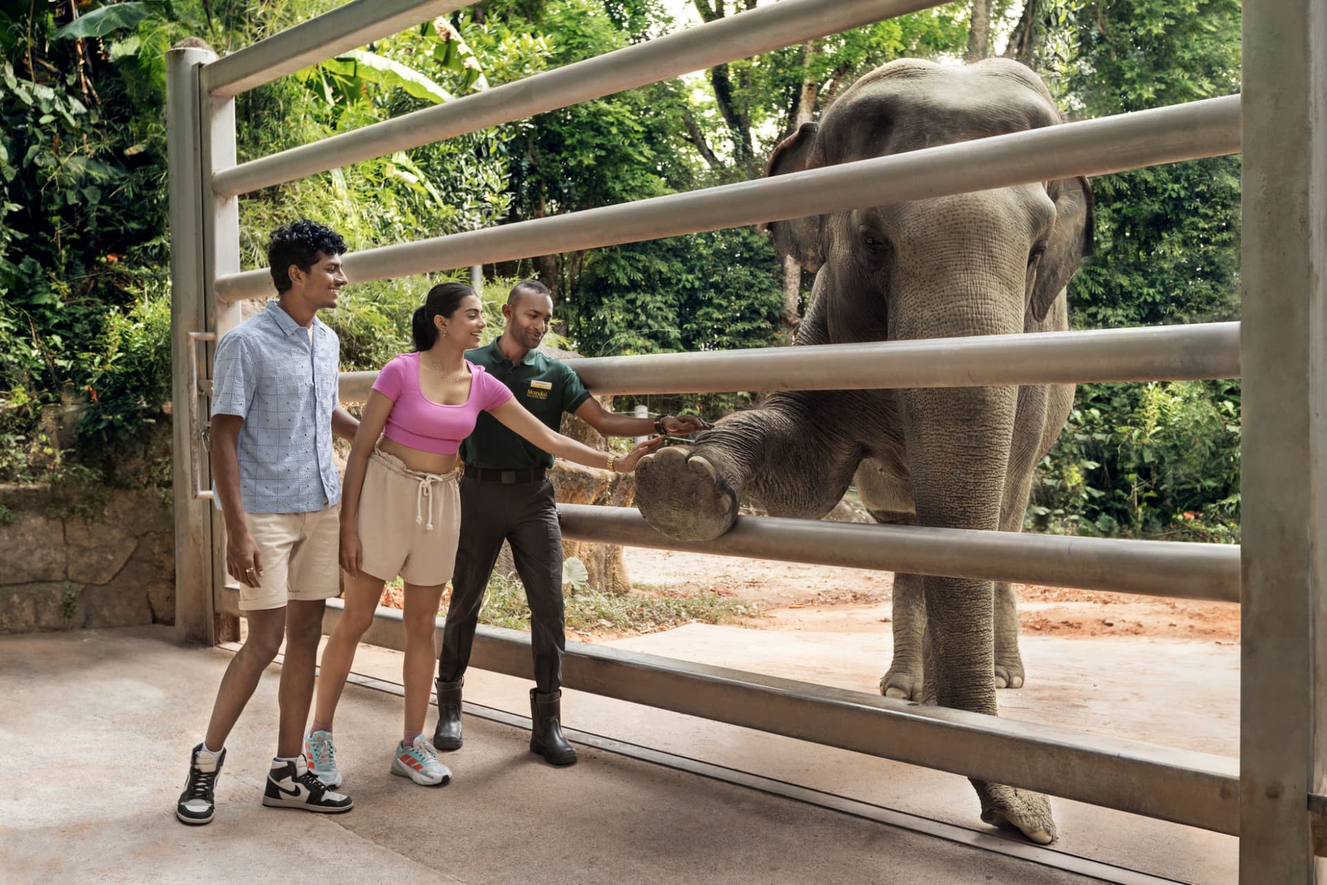 Singapore Zoo Ticket - სურათი 10