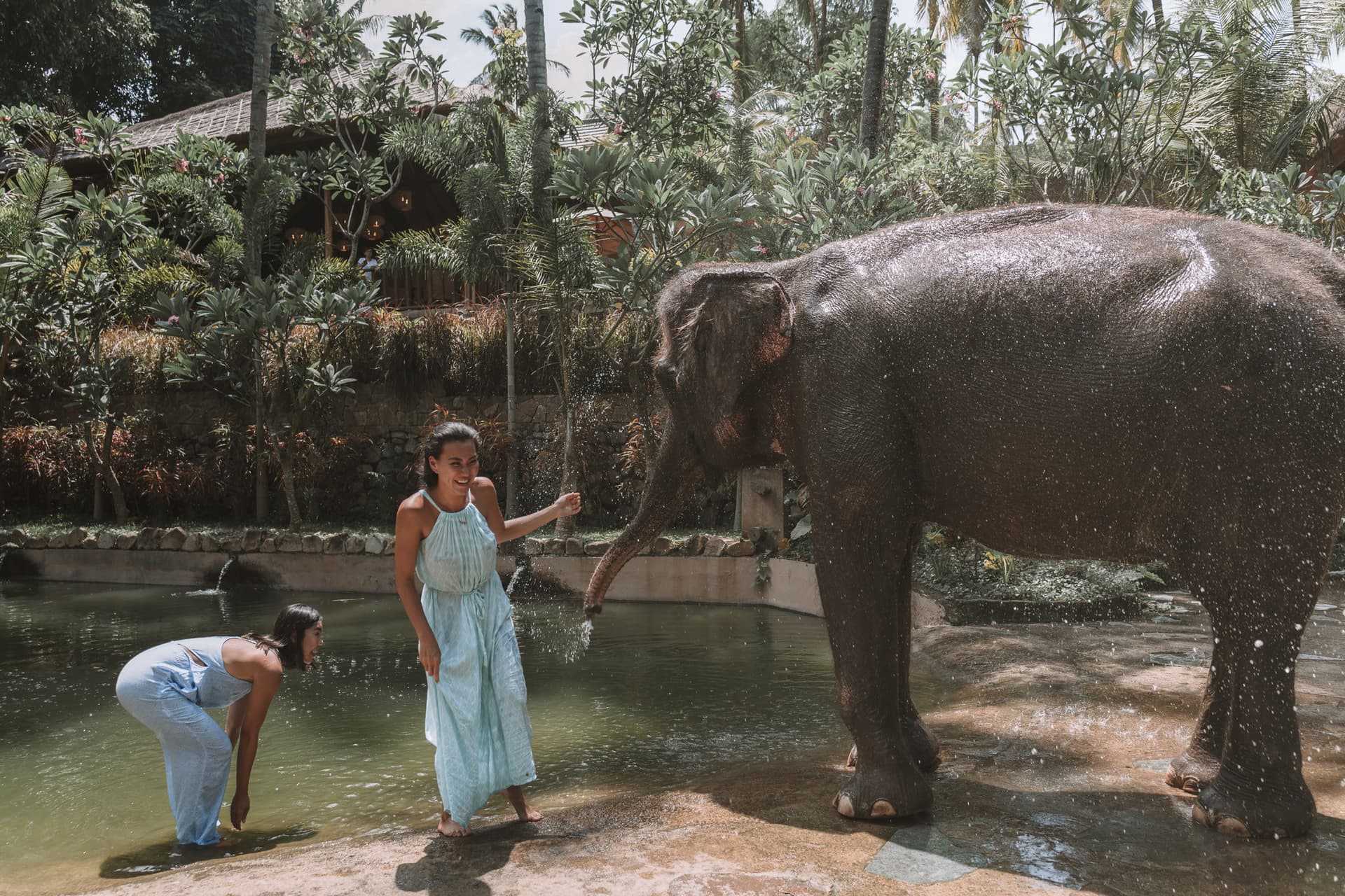 Lombok Wildlife Park Elephant Bath Experience - სურათი 3