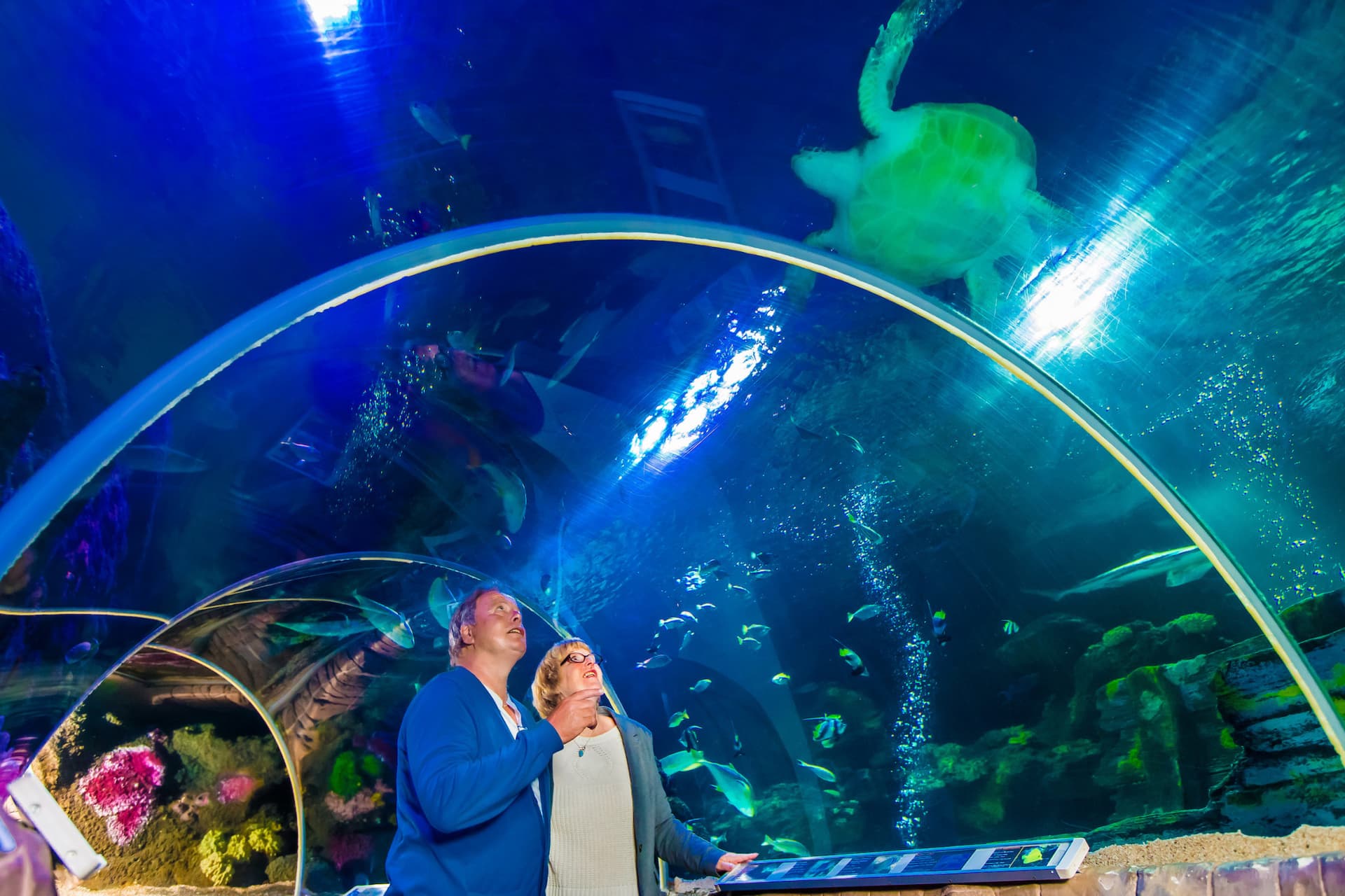 SEA LIFE Timmendorfer Strand Aquarium Ticket - სურათი 2