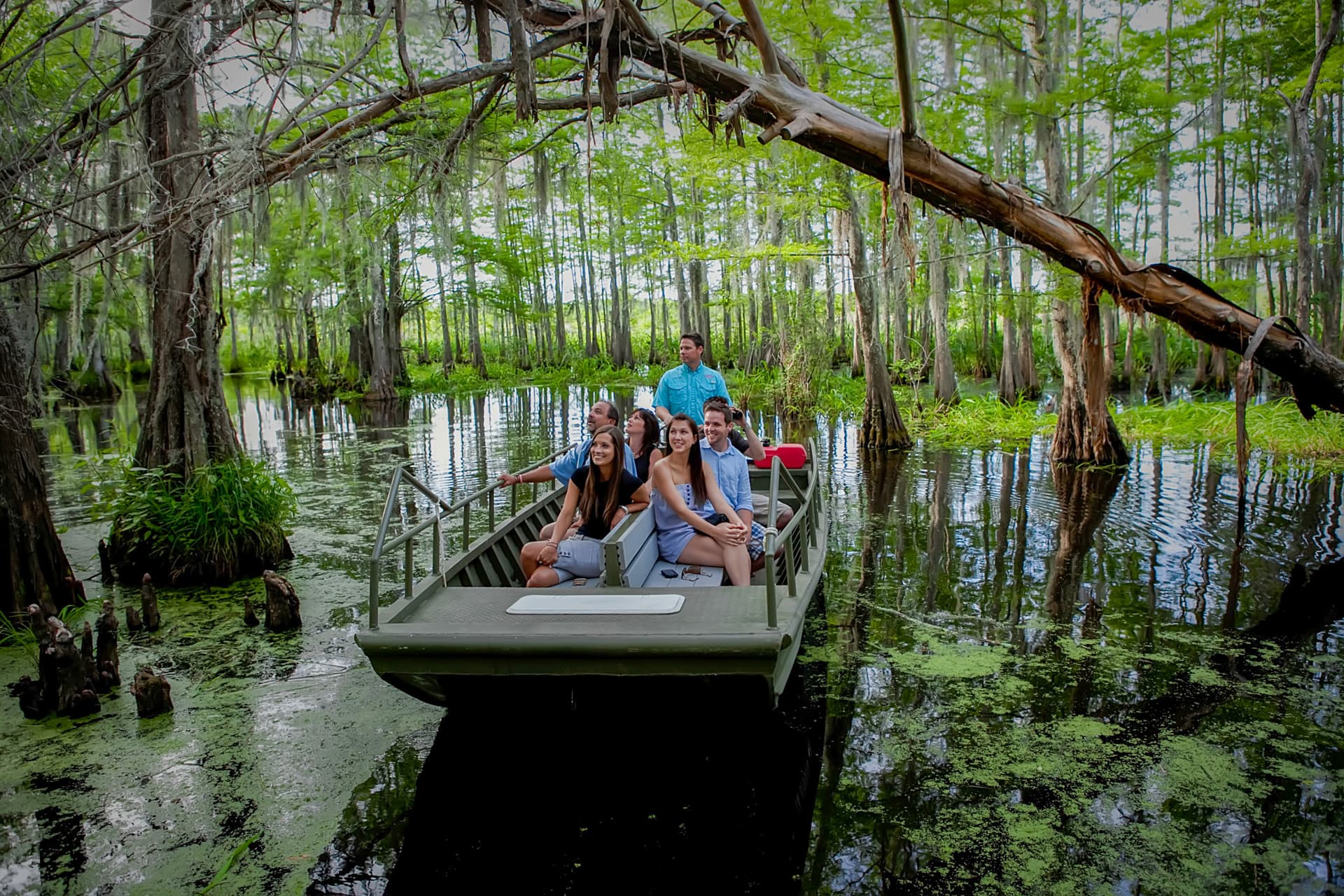 Go City New Orleans Essentials Pass: 3 Attractions - სურათი 4