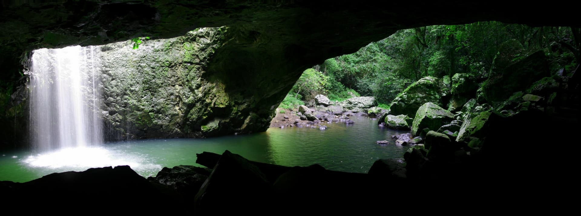 Springbrook National Park Tour: Natural Bridge and Waterfalls - სურათი 10