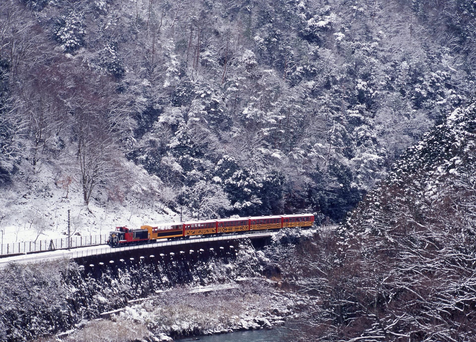 Sagano Romantic Train - სურათი 24