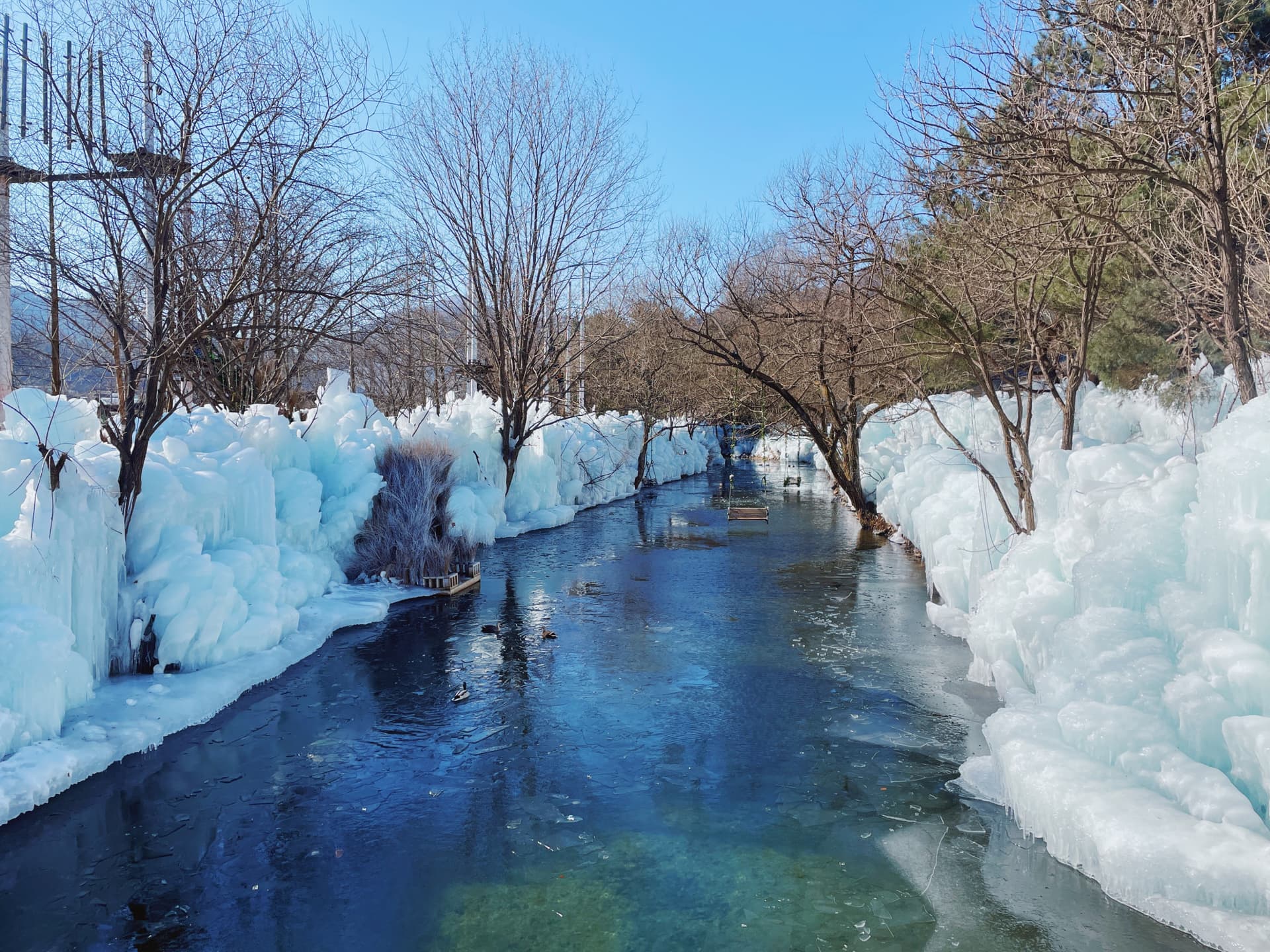 Gyeongju Kookmin Healing Park, Daegu Seomun Market, Songhae Park Ice Wall Full-Day Tour from Busan - მთავარი სურათი