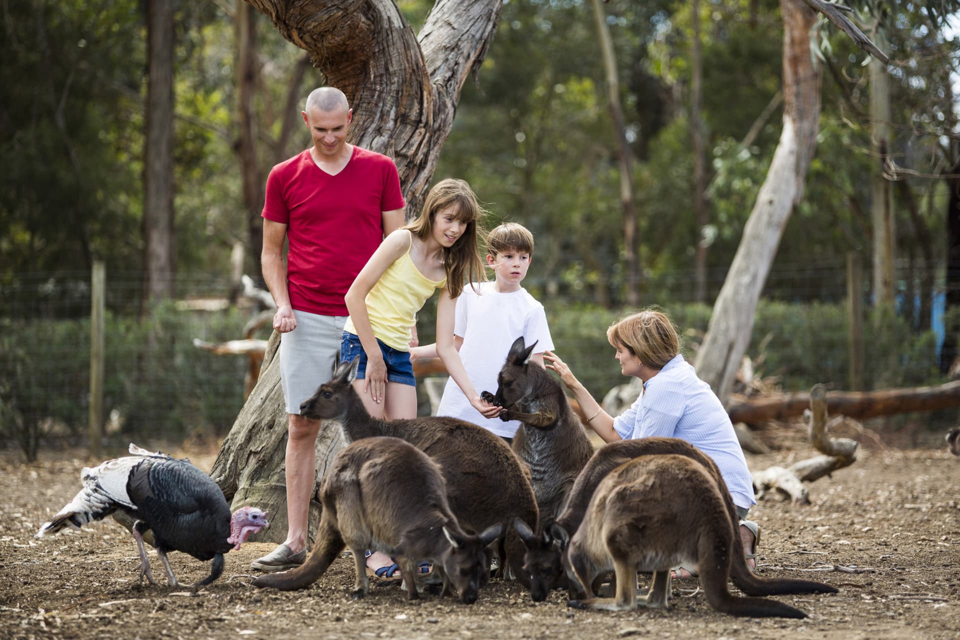 Kangaroo Island Tour from Adelaide - სურათი 2