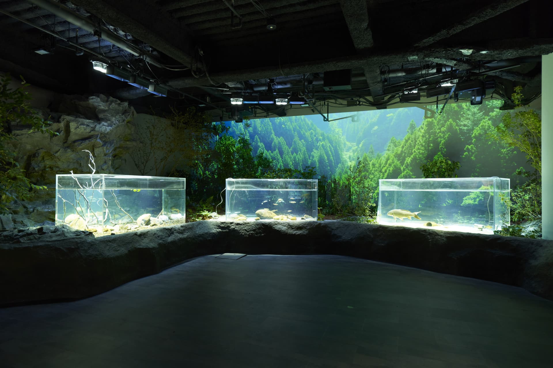 Kawasaki Aquarium Ticket - სურათი 11