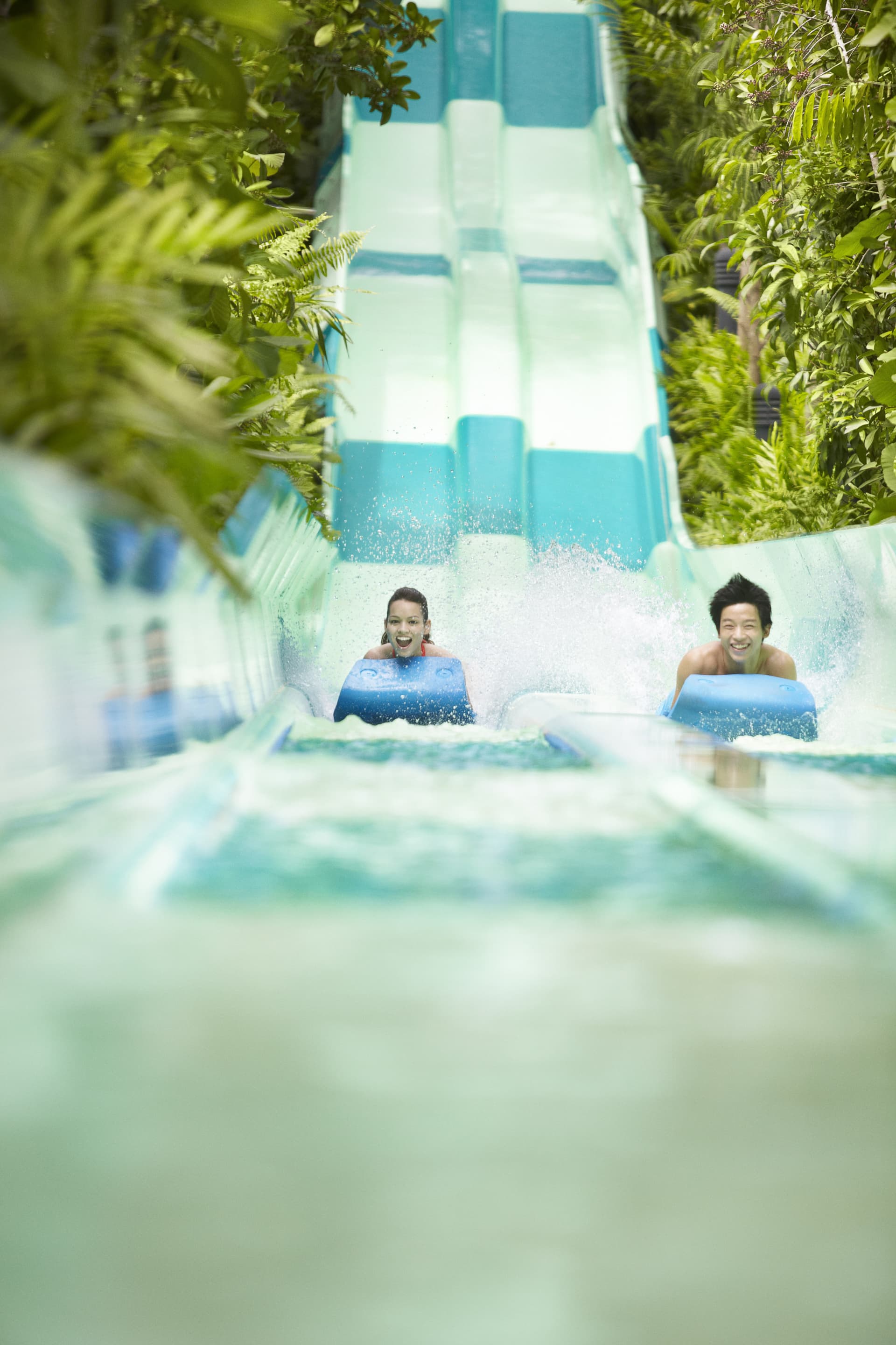 Adventure Cove Waterpark‎ Express Pass - სურათი 15