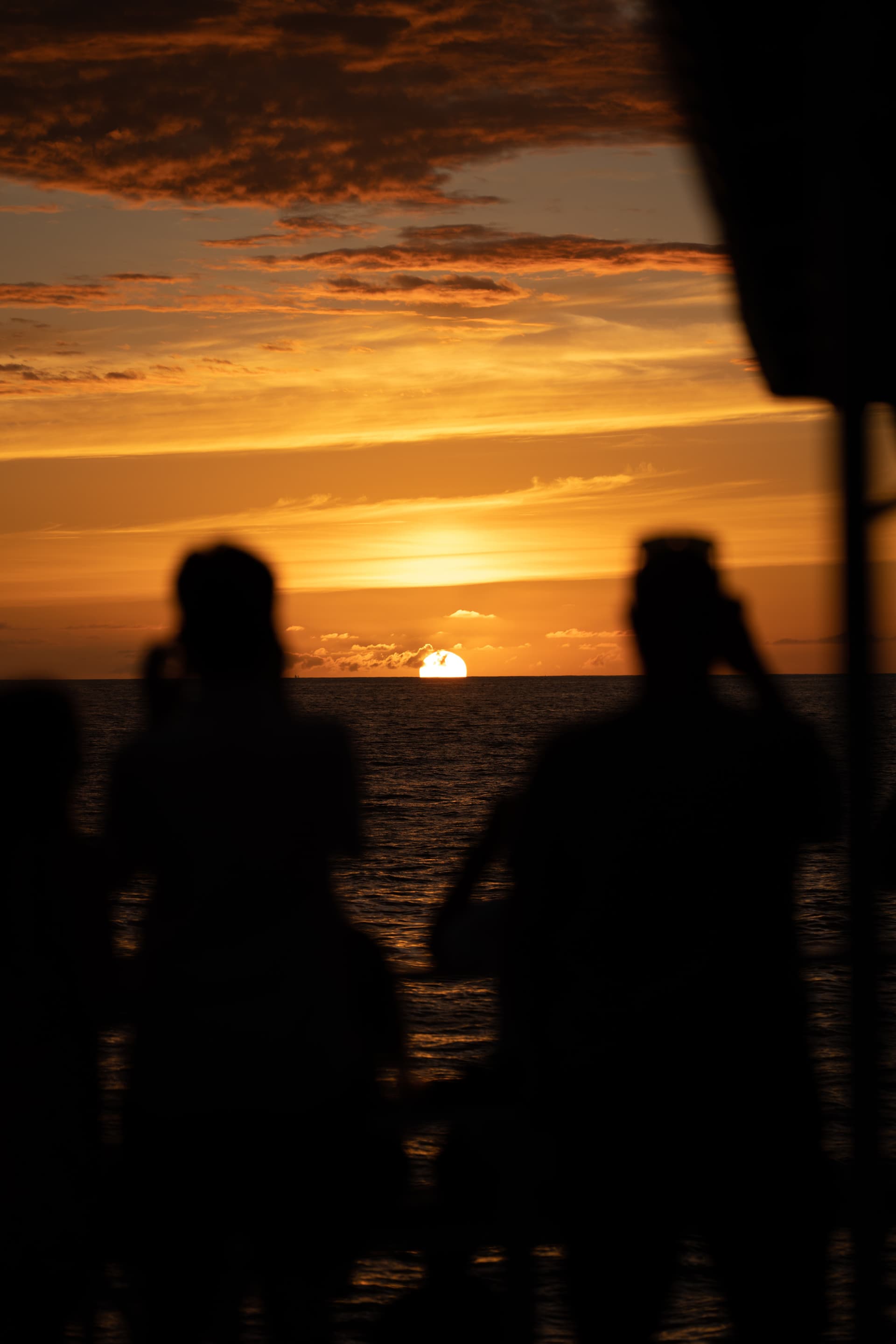 Dinner Cruise from Kona Coast to Kealakekua Bay - სურათი 14