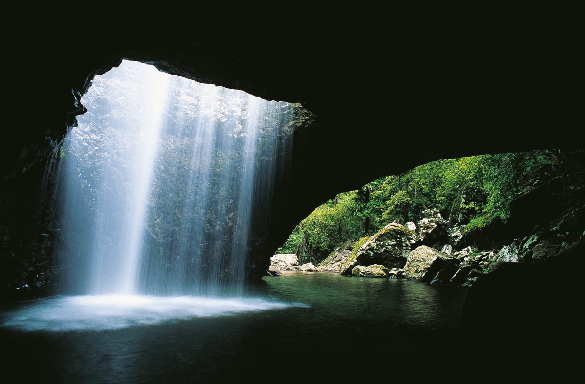 Springbrook National Park Tour: Natural Bridge and Waterfalls - მთავარი სურათი
