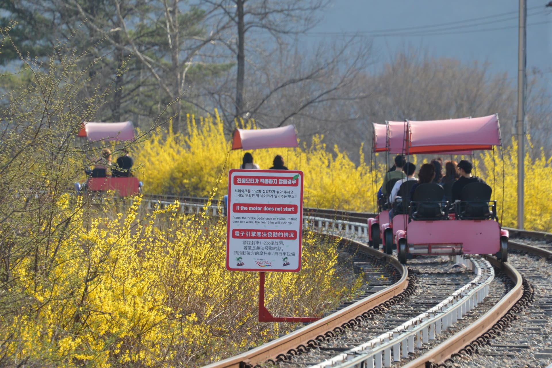 Nami Island, Petite France, Italian Village, and Gangchon Rail Bike Tour from Seoul - სურათი 6