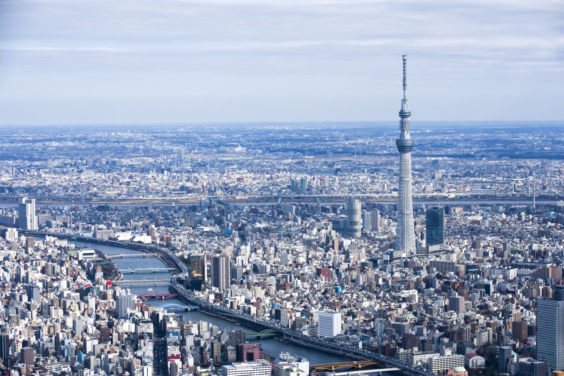 COMBO: Tokyo Skytree + Tembo Galleria Ticket - სურათი 5