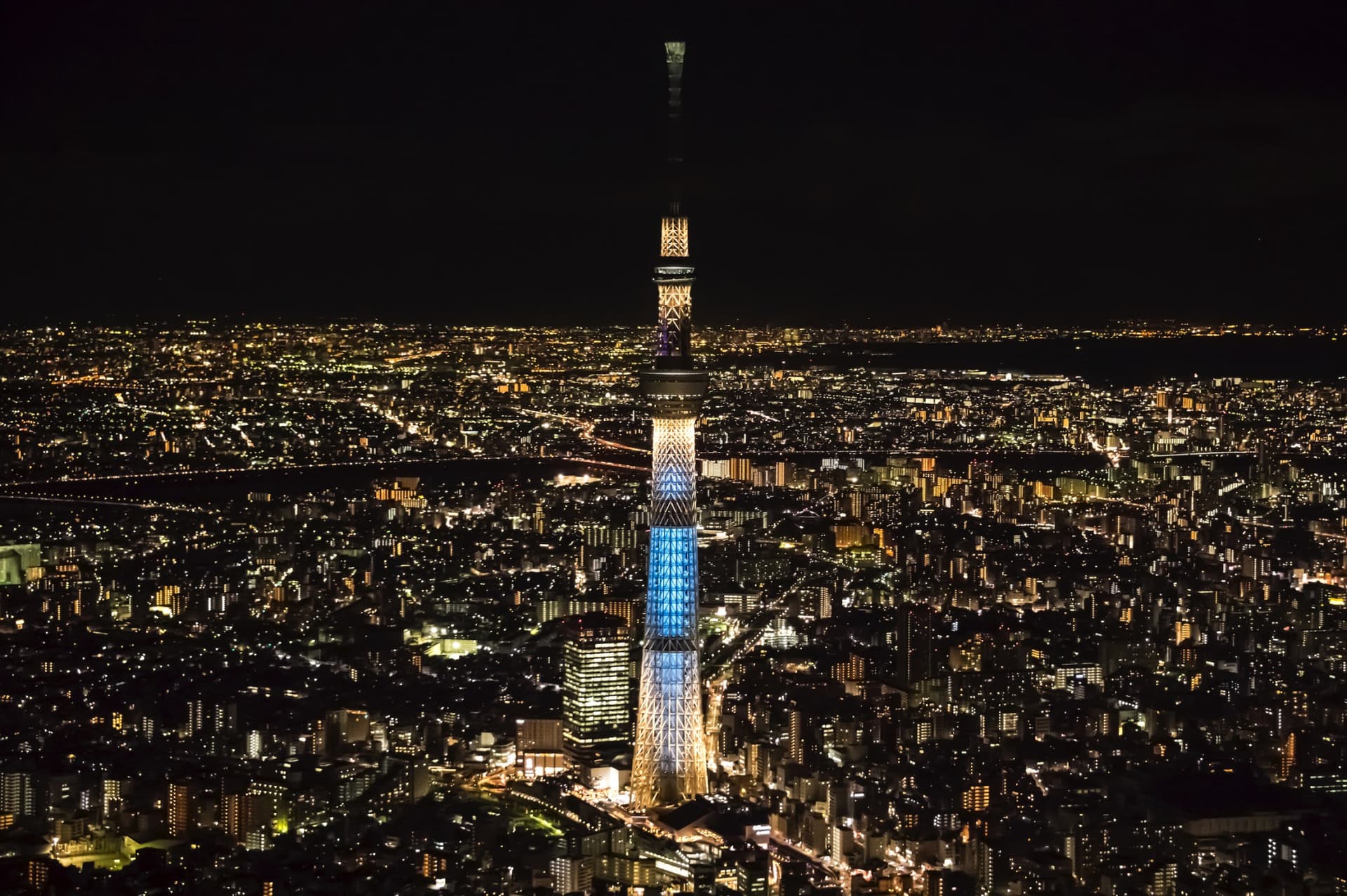COMBO: Tokyo Skytree + Sumida Aquarium - სურათი 5