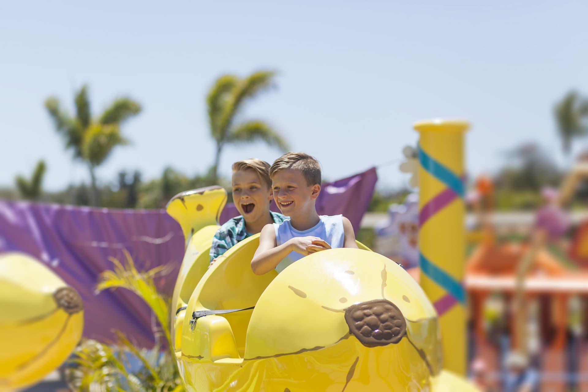 Sea World Gold Coast Ticket - სურათი 9