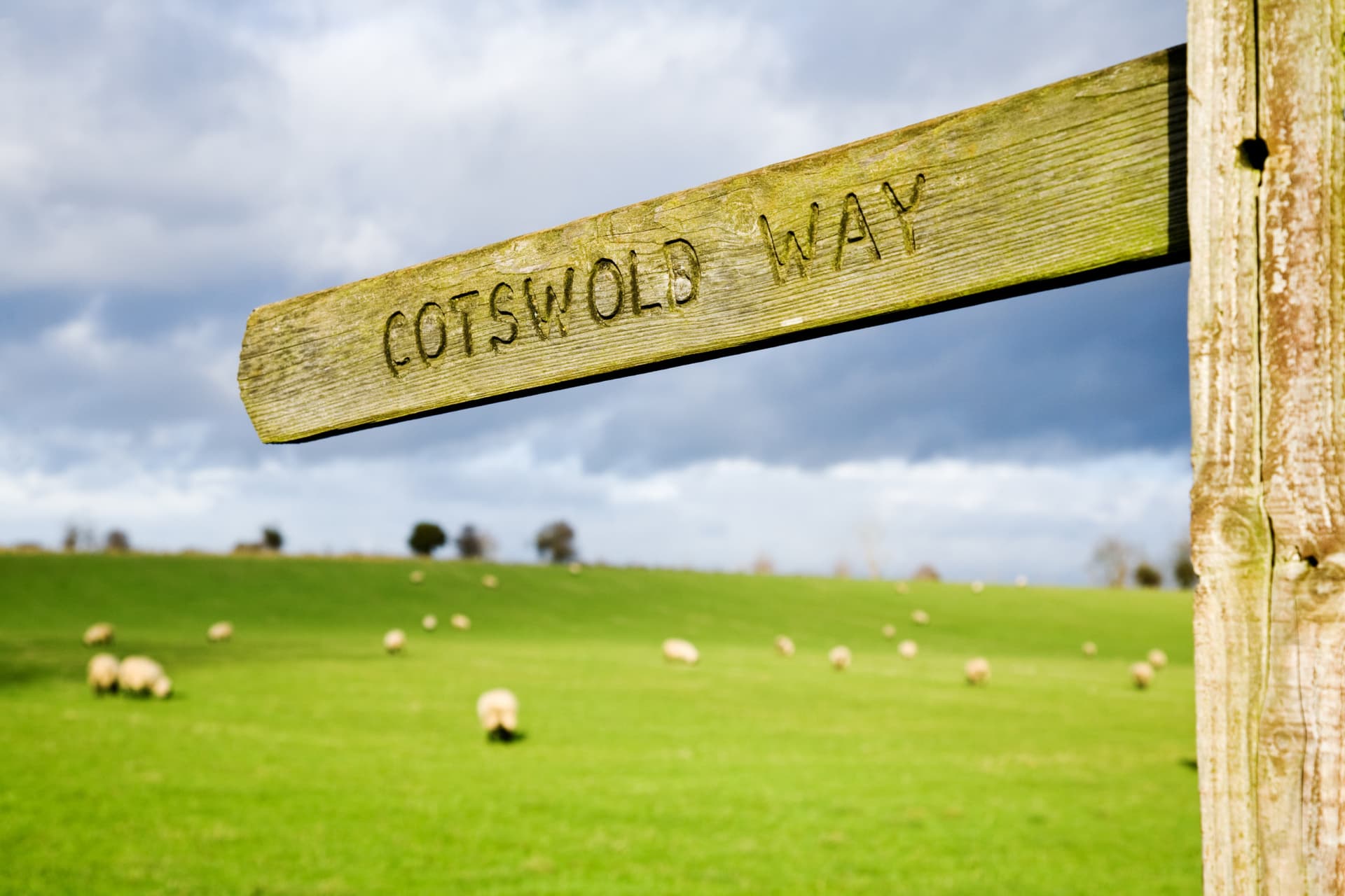 Cotswolds Tour from London with Lunch - სურათი 15