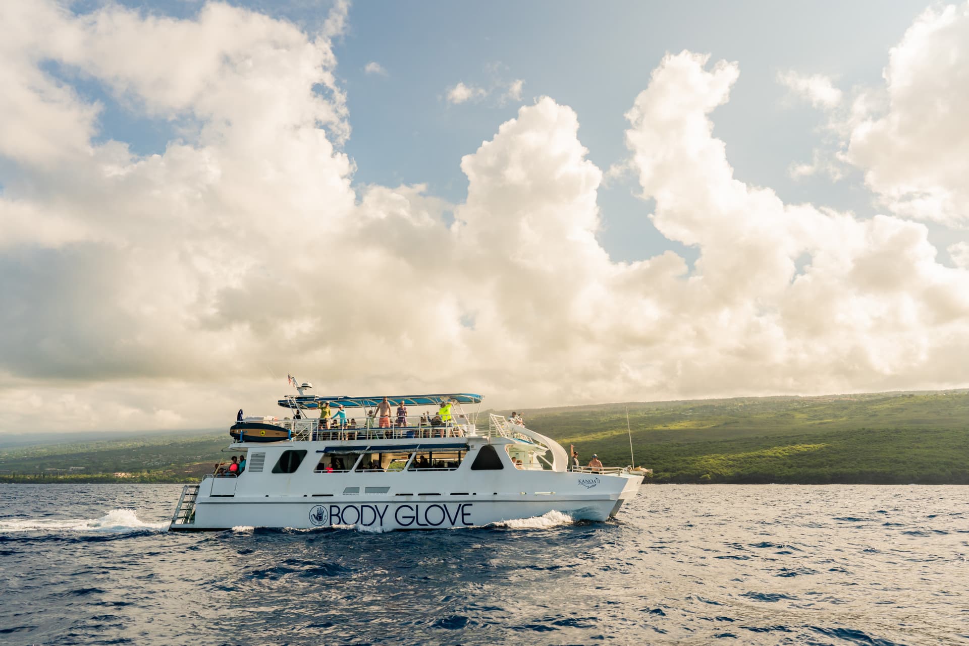 Kona Dolphin Watching Cruise with Snorkelling Experience - სურათი 5