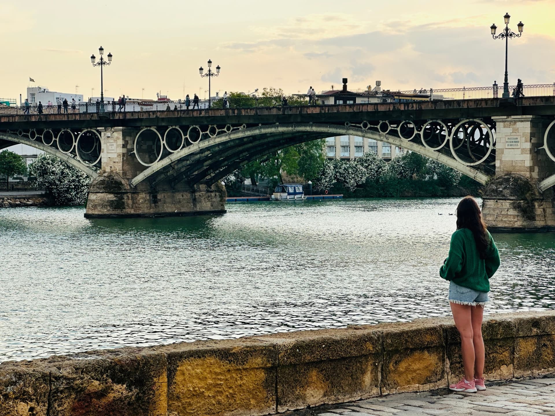 Seville Highlights Tour: Royal Alcazar of Seville, Triana Bridge, Flamenco Show - მთავარი სურათი