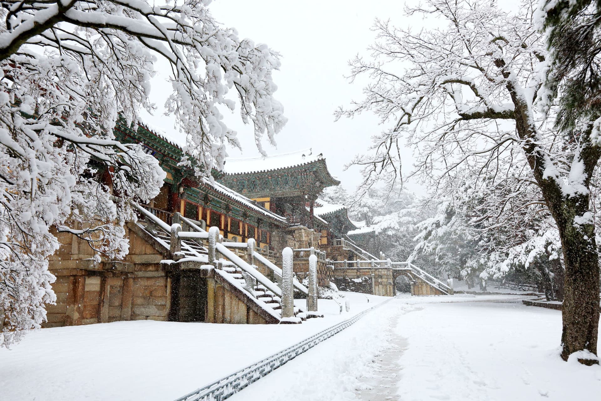 Gyeongju Kookmin Healing Park, Bulguksa, Woljeong Bridge, Gyochon Village Full-Day Tour from Busan - სურათი 2