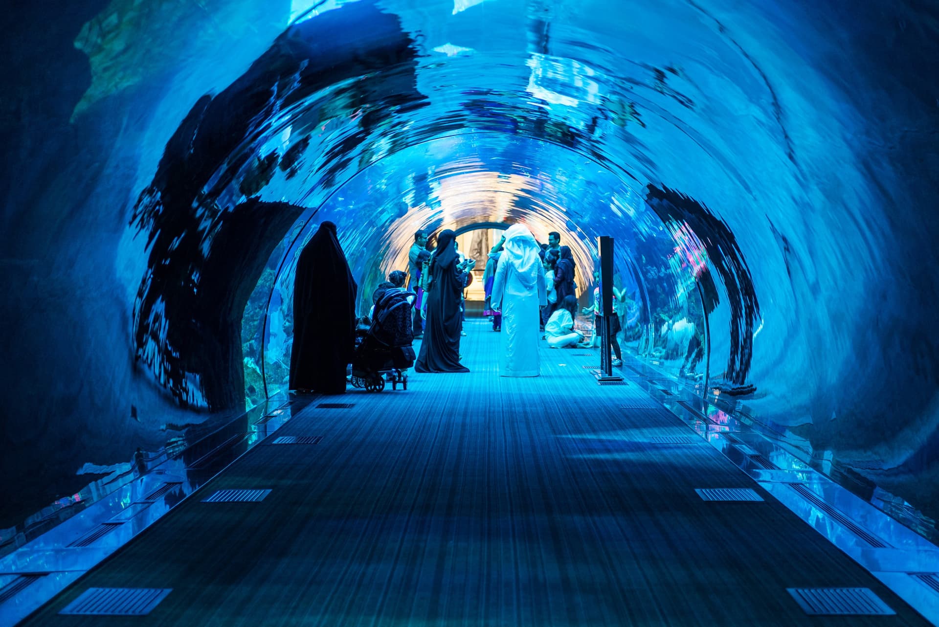 Dubai Aquarium and Underwater Zoo Ticket - მთავარი სურათი