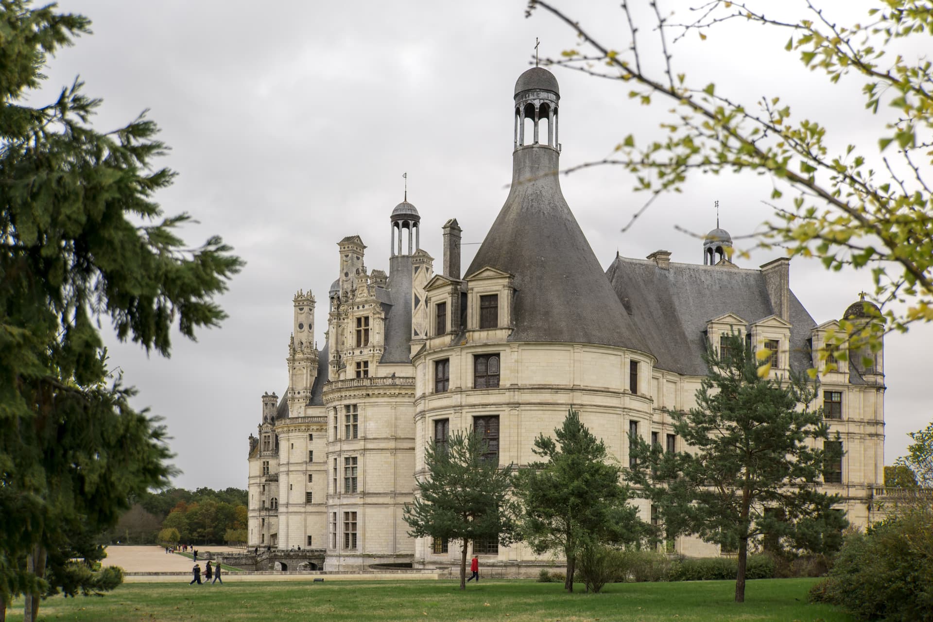 Loire Valley Tour from Paris: Chambord, Chenonceau, and Cheverny Castles - სურათი 15
