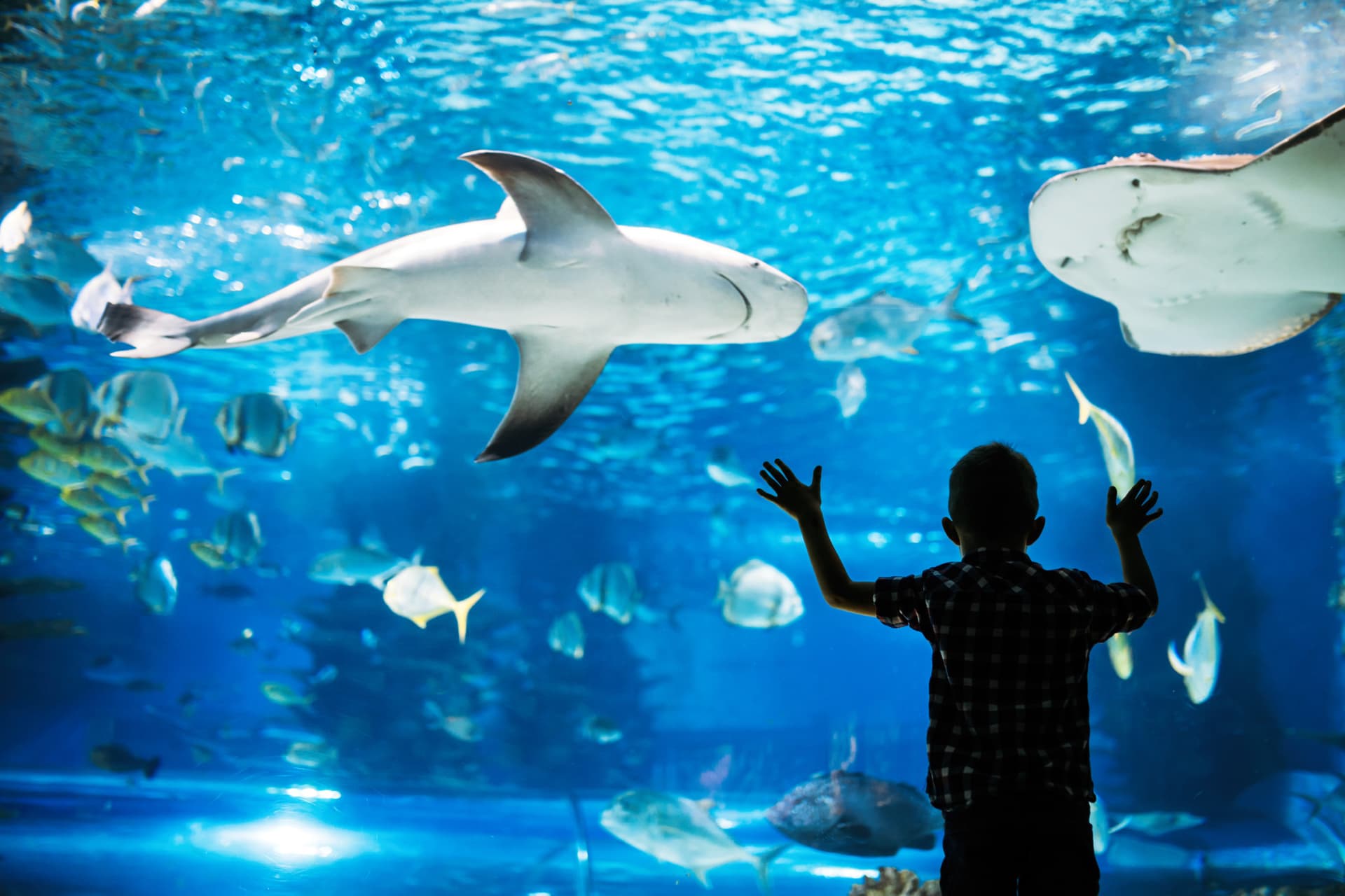 Go City Philadelphia All-Inclusive Pass: Save up to 50% on Attractions - სურათი 2
