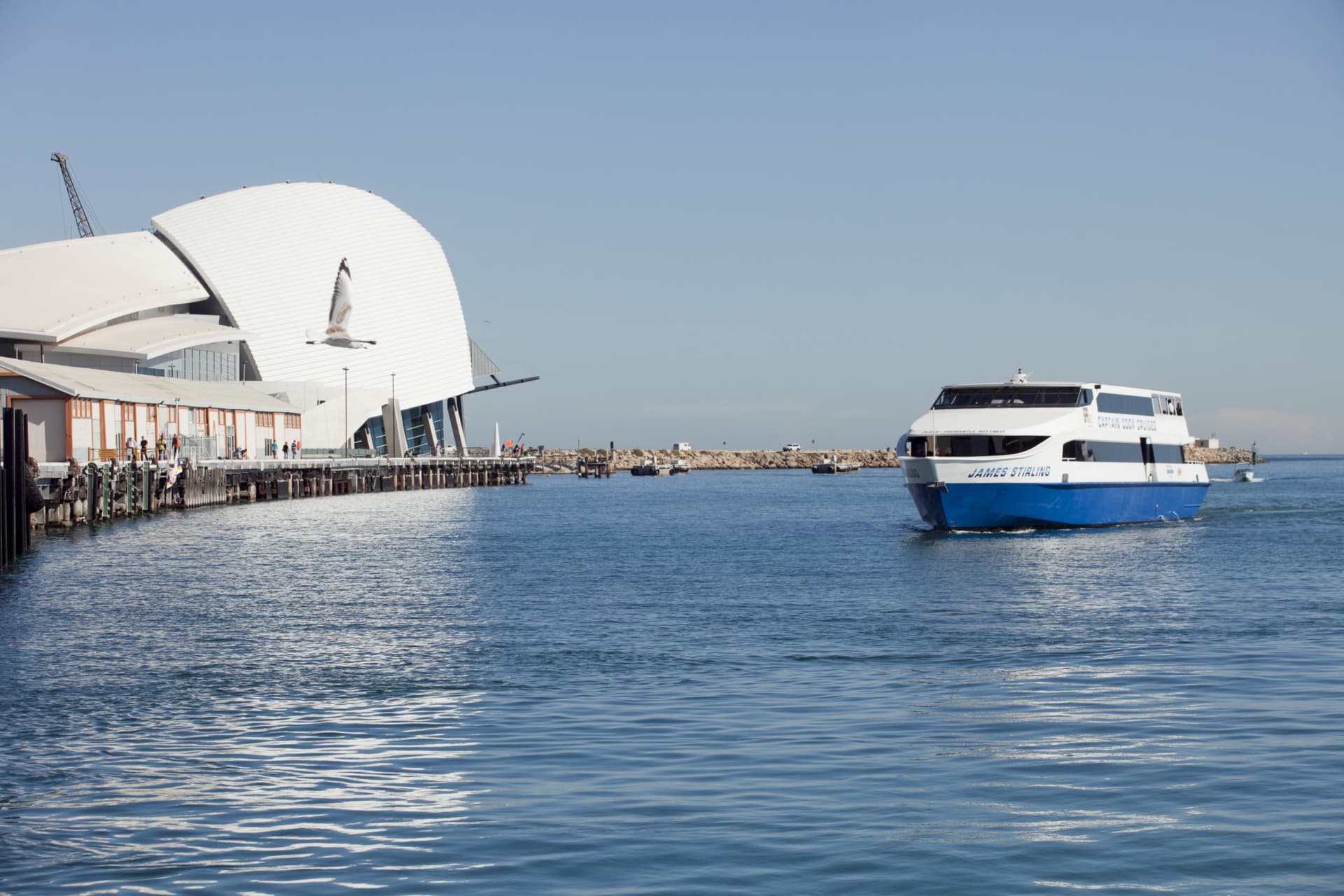 Captain Cook Cruises - Between Perth and Fremantle Scenic Cruise - სურათი 2