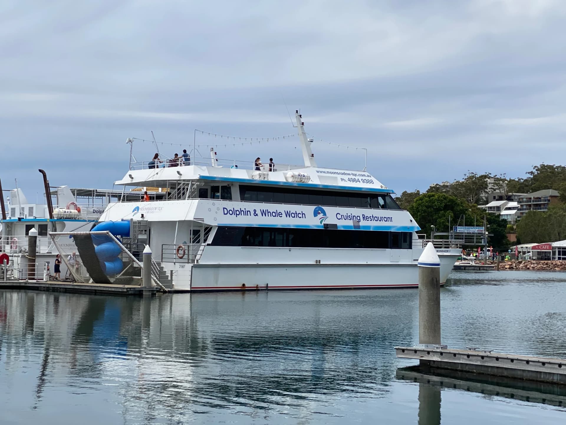 Port Stephens Dolphin Discovery Cruise - სურათი 4