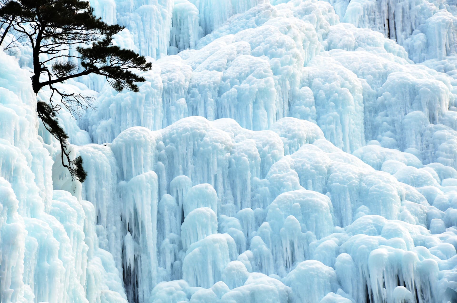 Cheongsong Ice Valley, Pohang Space Walk, and Gyeongju Full-Day Tour from Busan - სურათი 7