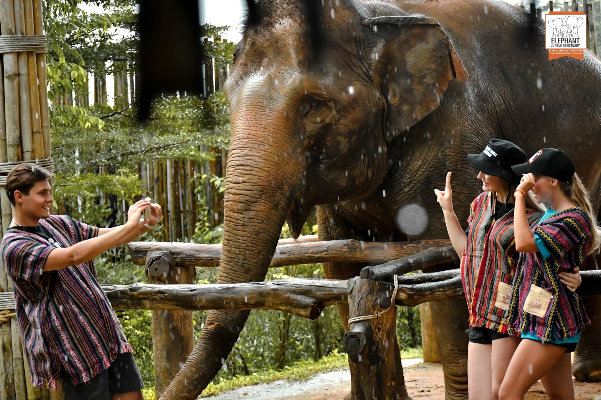Elephant Jungle Sanctuary Phuket - სურათი 3