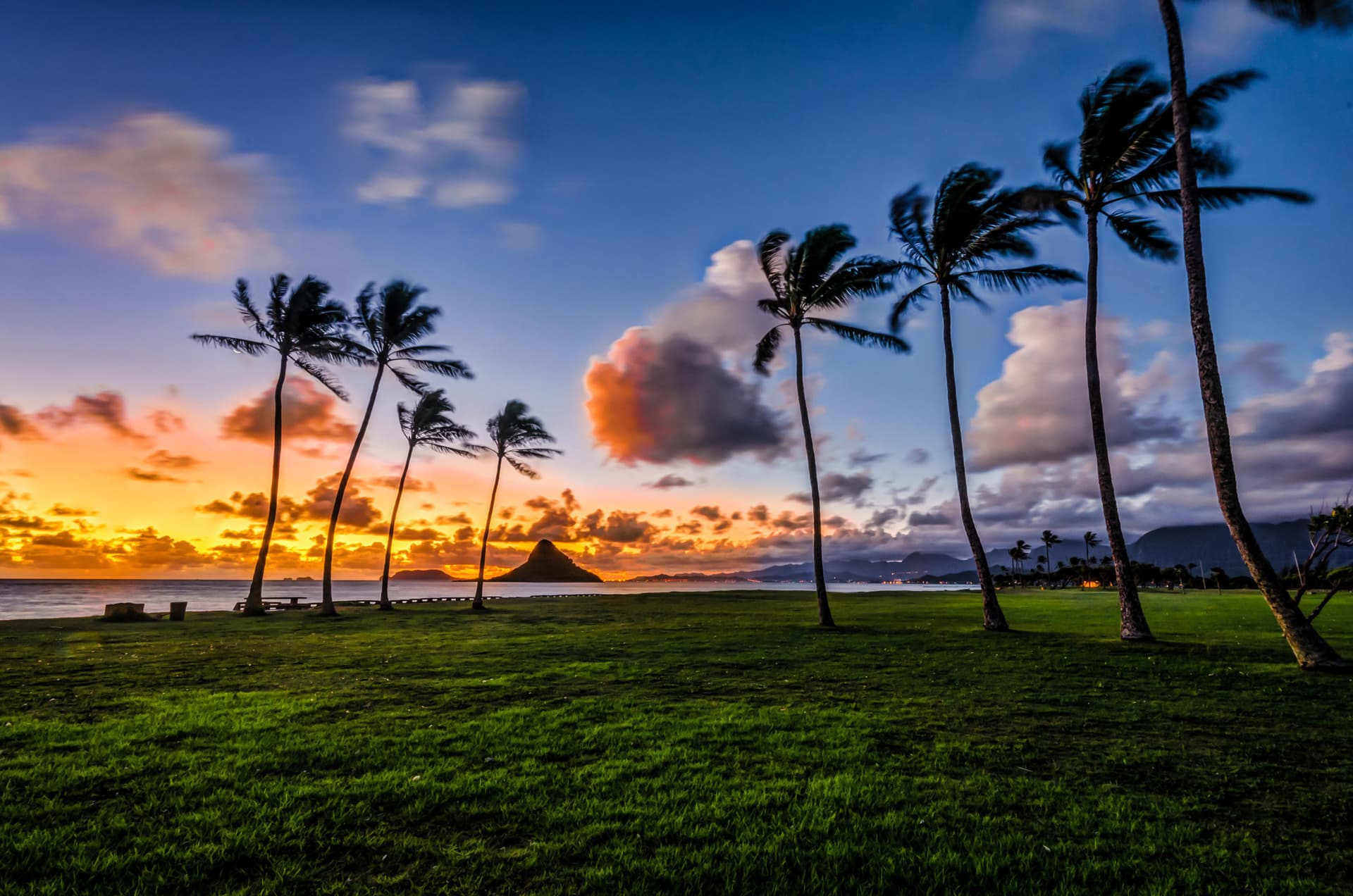 Go City Oahu All-Inclusive Pass: Save up to 50% on Attractions - სურათი 10