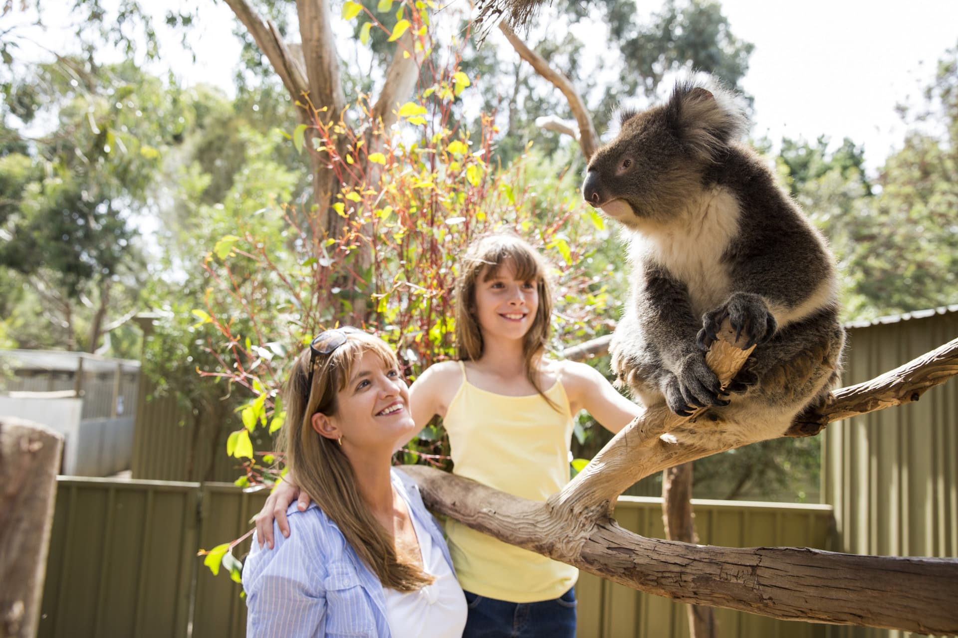 Kangaroo Island Tour from Adelaide - სურათი 8