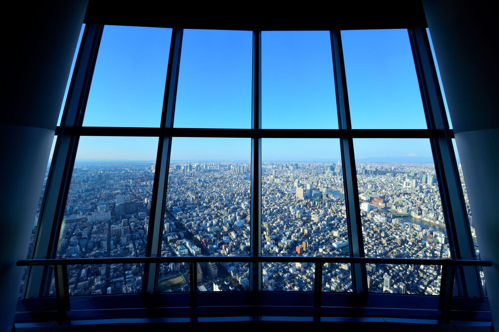 COMBO: Tokyo Skytree + Sumida Aquarium - სურათი 3