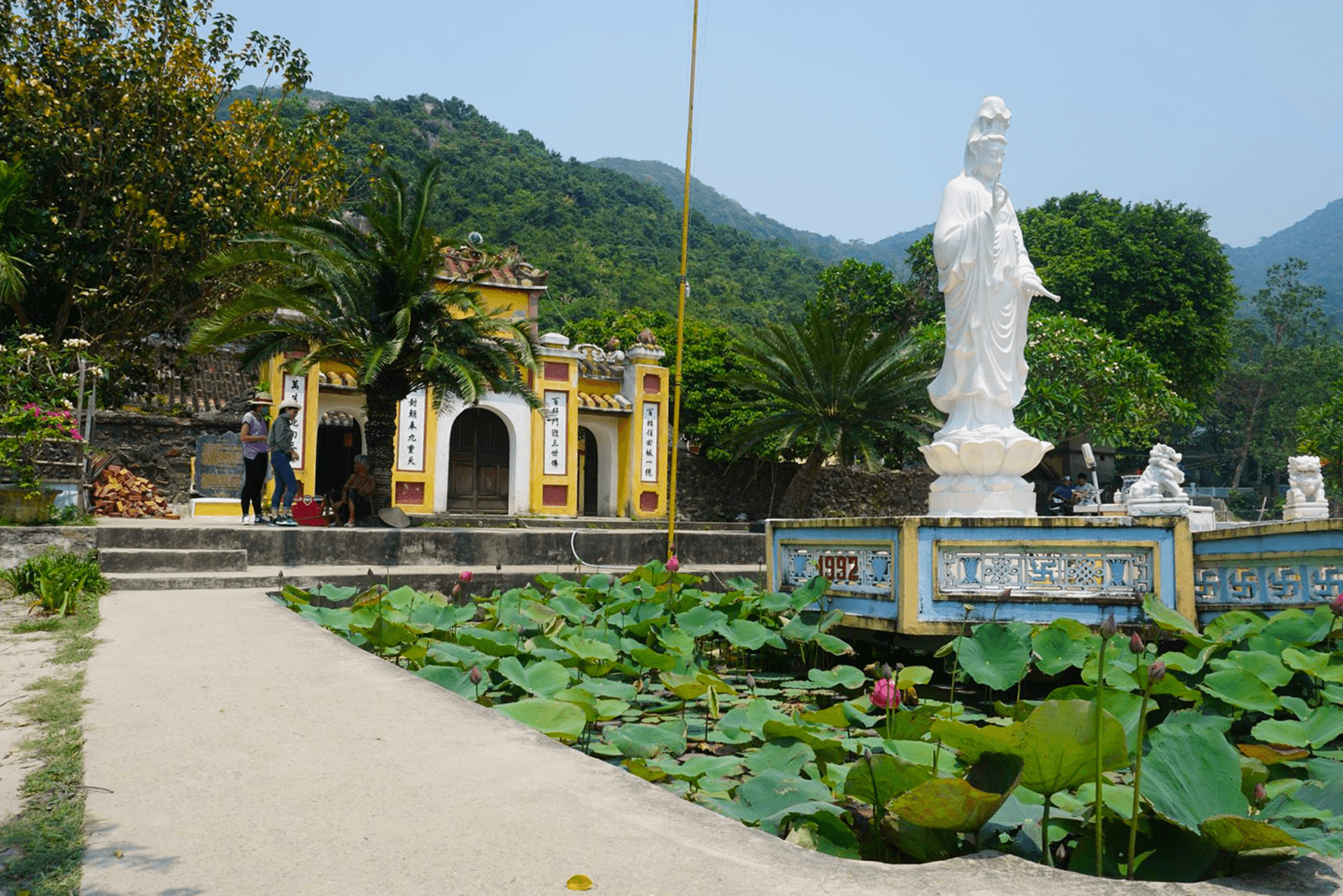 Cham Island Tour from Da Nang - სურათი 5