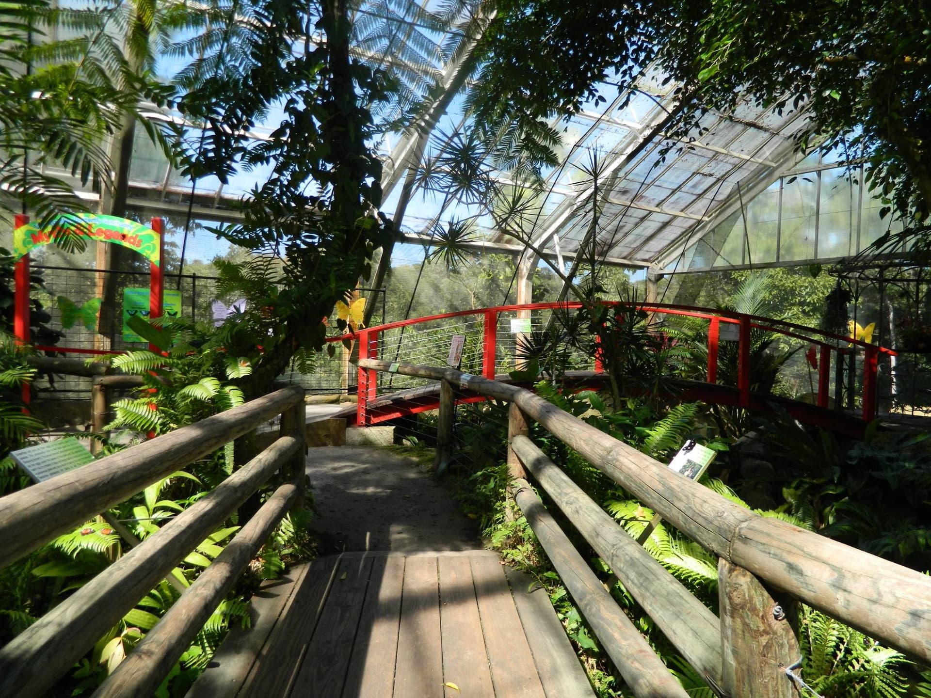 Australian Butterfly Sanctuary - სურათი 8