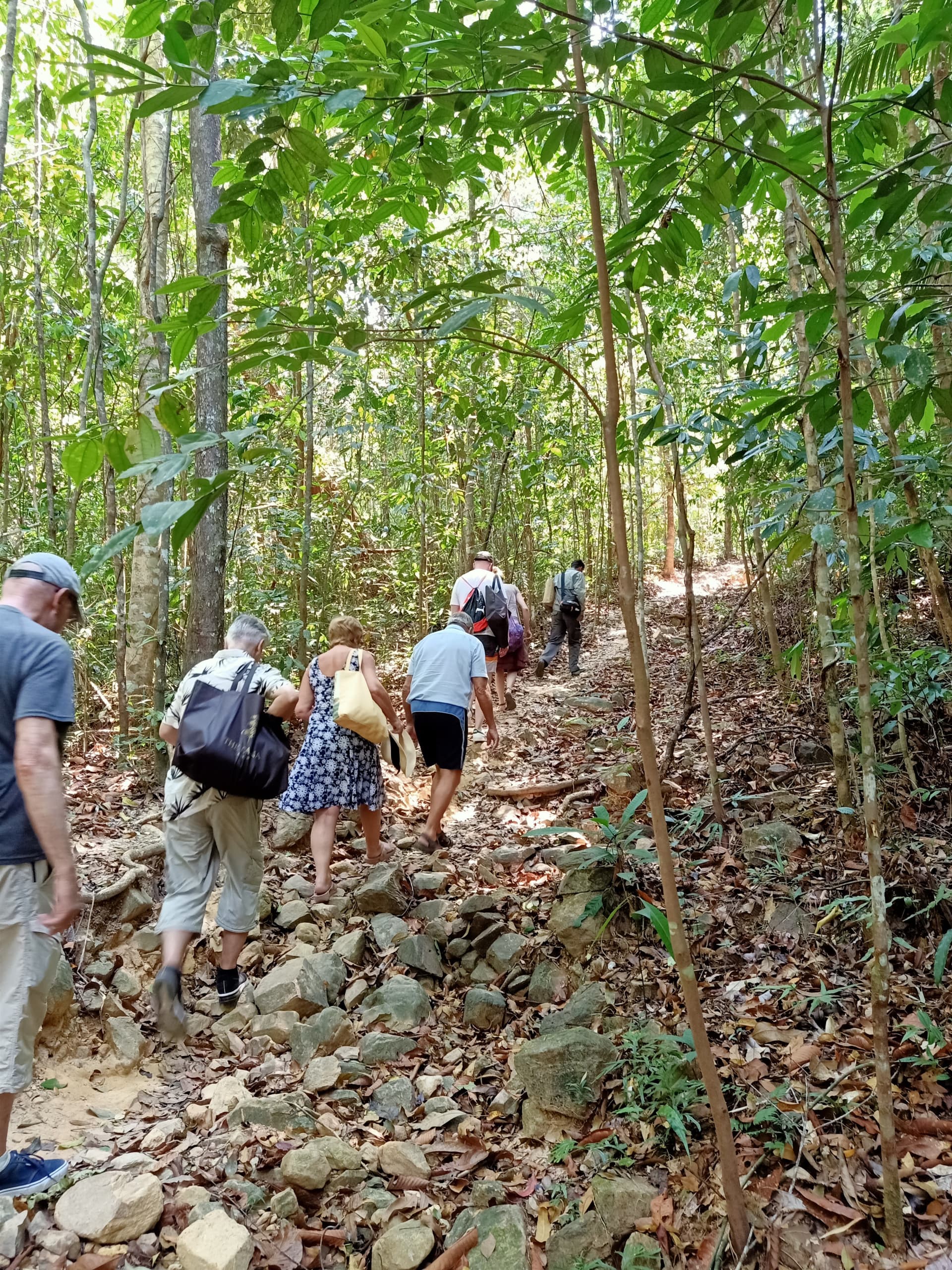 Langkawi Morning Rainforest Walking Tour - სურათი 7